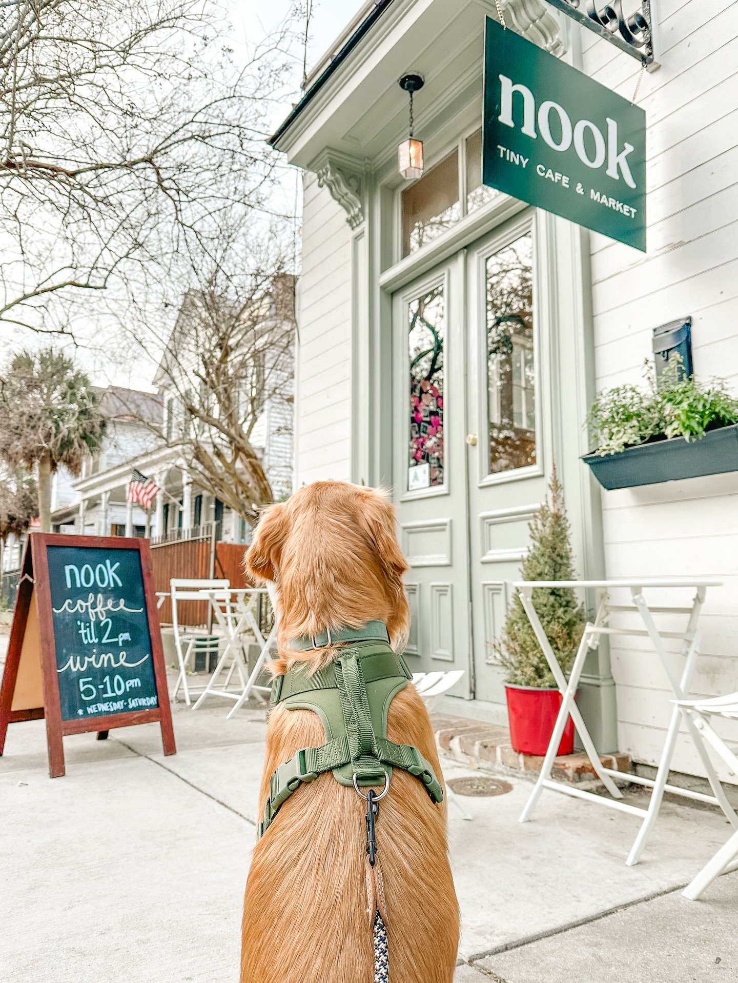 When your pup is waiting at the door, it&rsquo;s probably a sign they want to head to nook. You should listen to them. 

February Coffee Soecials
&bull; Red flag: spicy mocha 
&bull; Bee mine: honey lavender latte 
&bull; Pistachio 
&bull; Salted tof