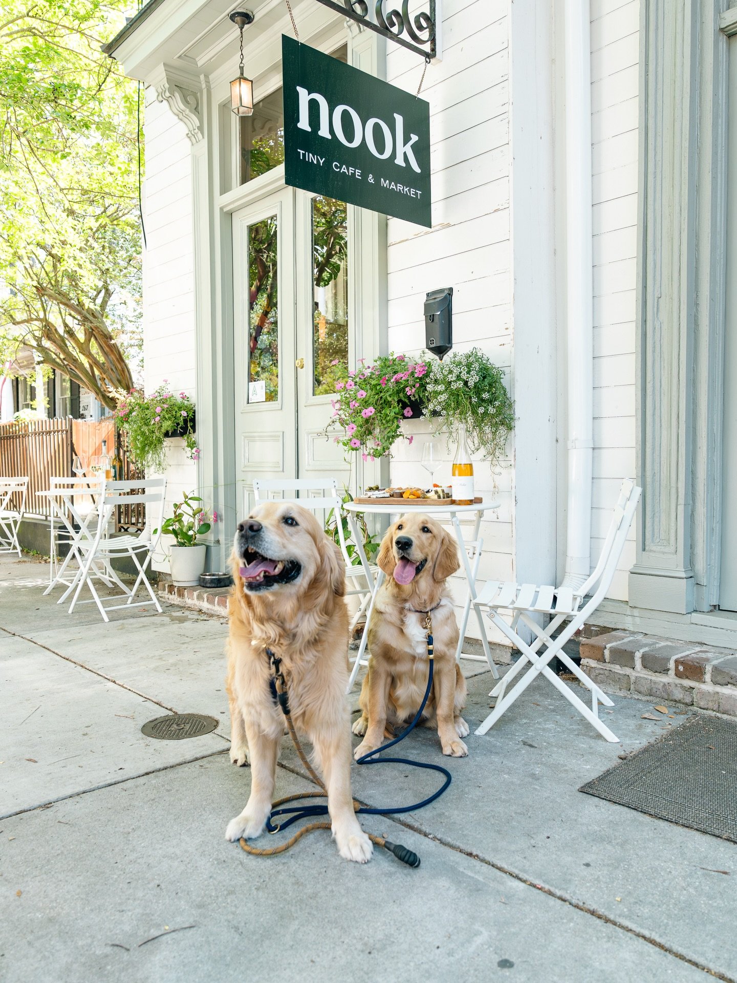 When your dog says it&rsquo;s time to head to happy hour for a sip of wine and charcuterie, you should listen. Look, you didn't hear it from us, but word at the dog park is the cheese selection at nook is 🤌 

Join us from 5-10pm tonight for drinks, 