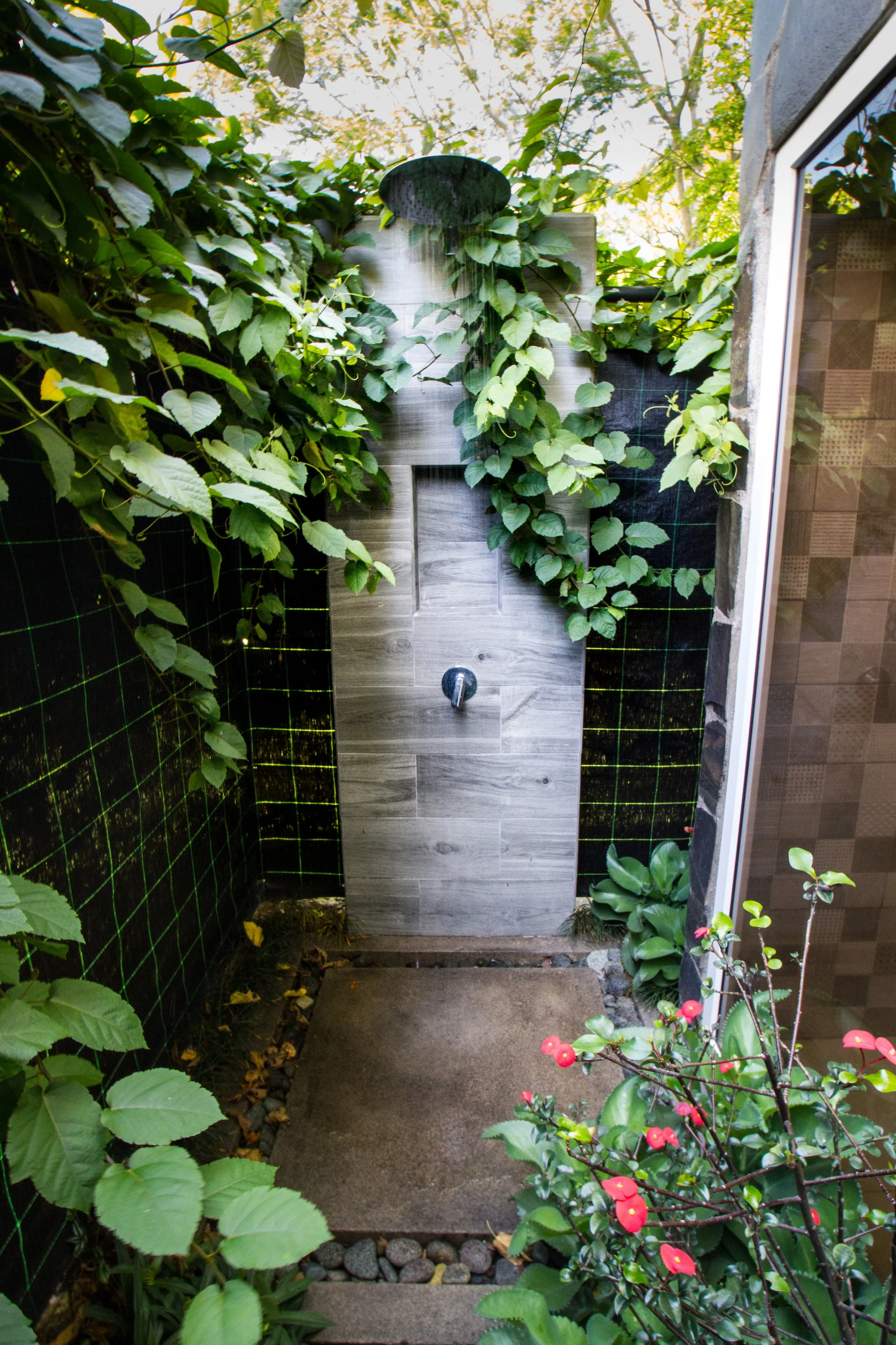 Outdoor outdoor shower with a rain showerhead, surrounded by green plants and vines, with tiles and a concrete base.