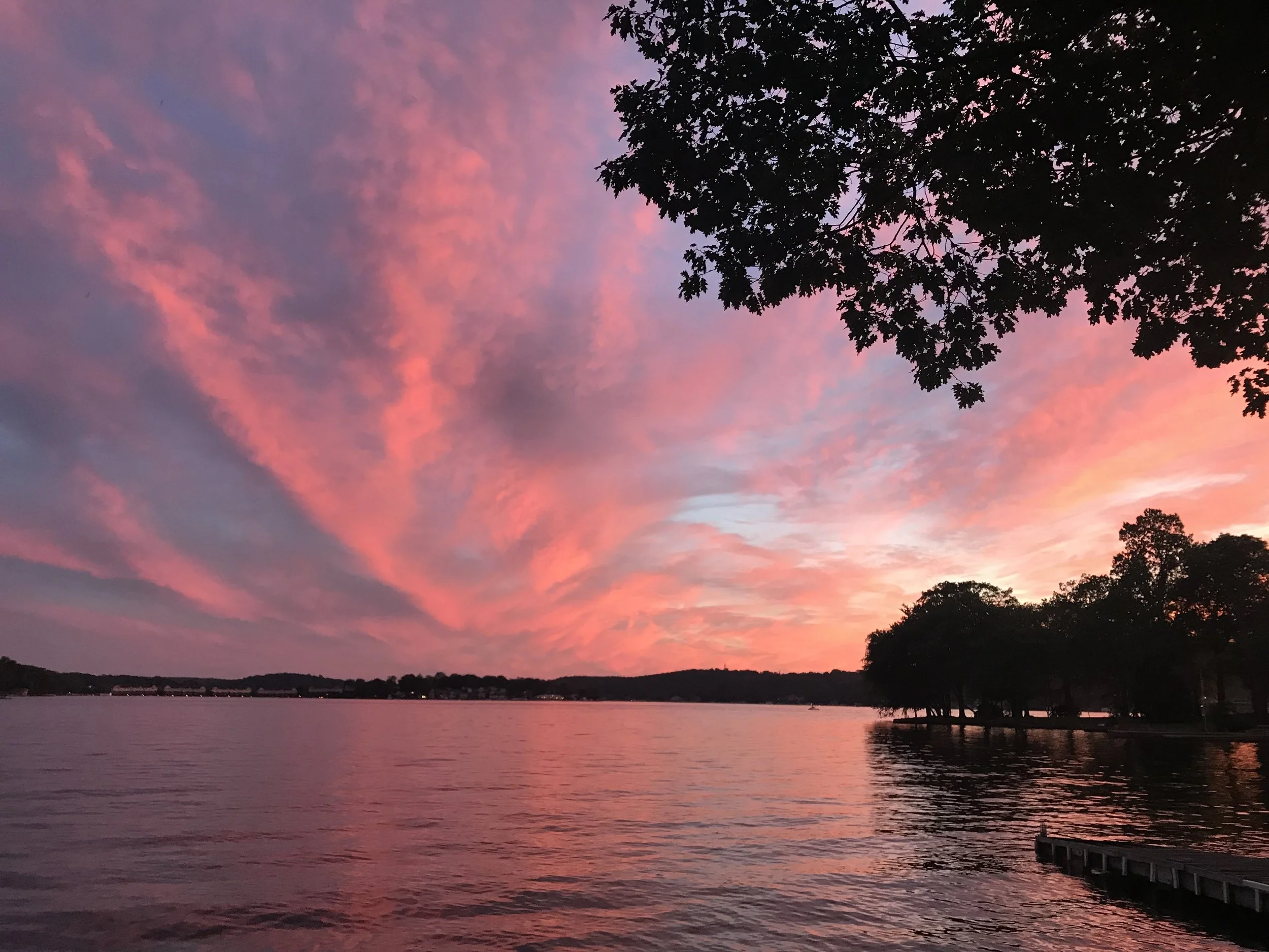 Website Design & Branding