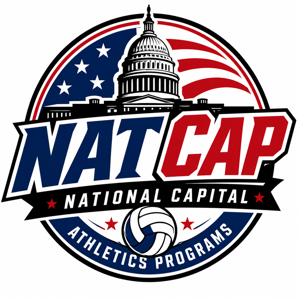 NAT CAP logo VB.png