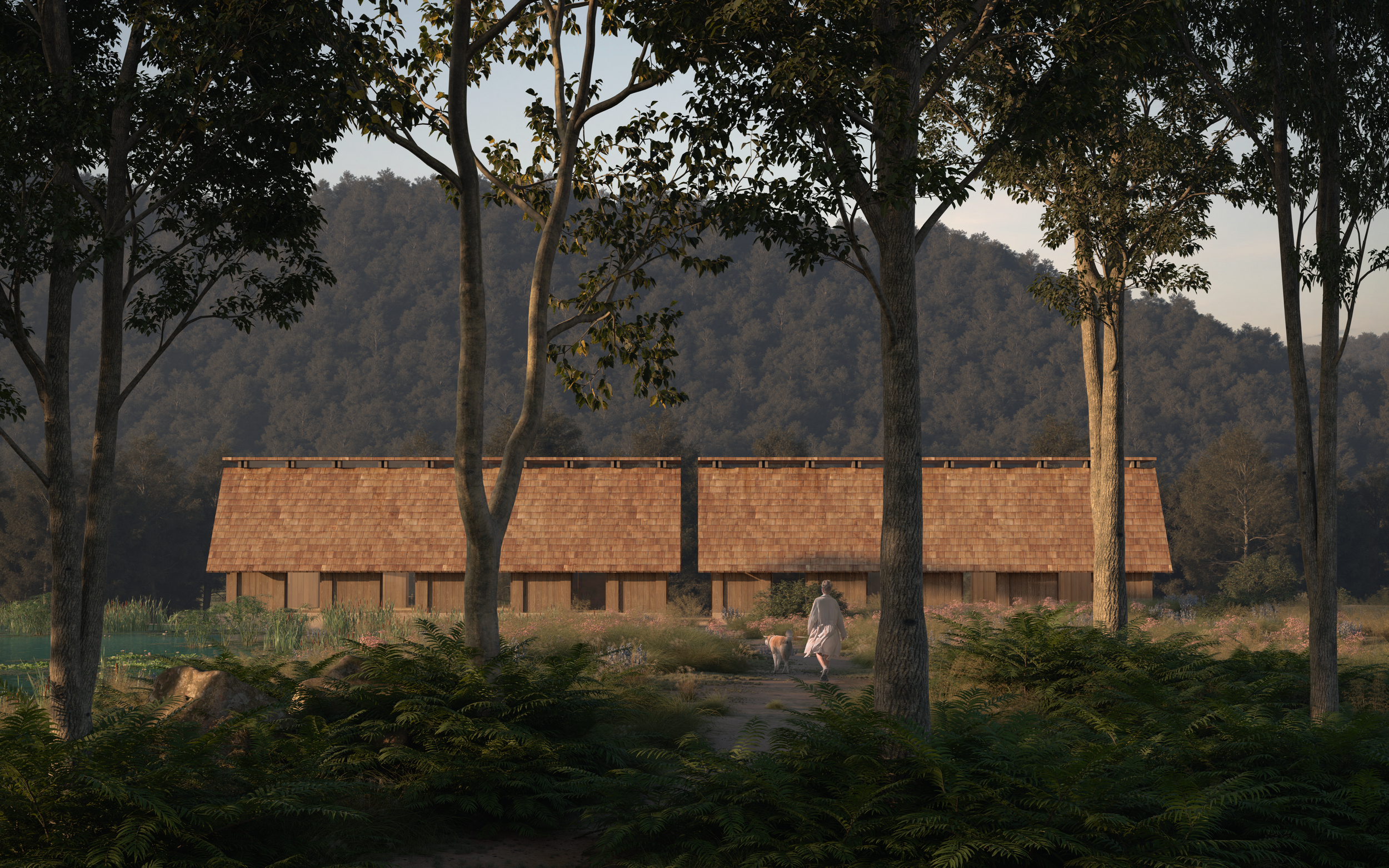 Solar Yoga Frontal.png