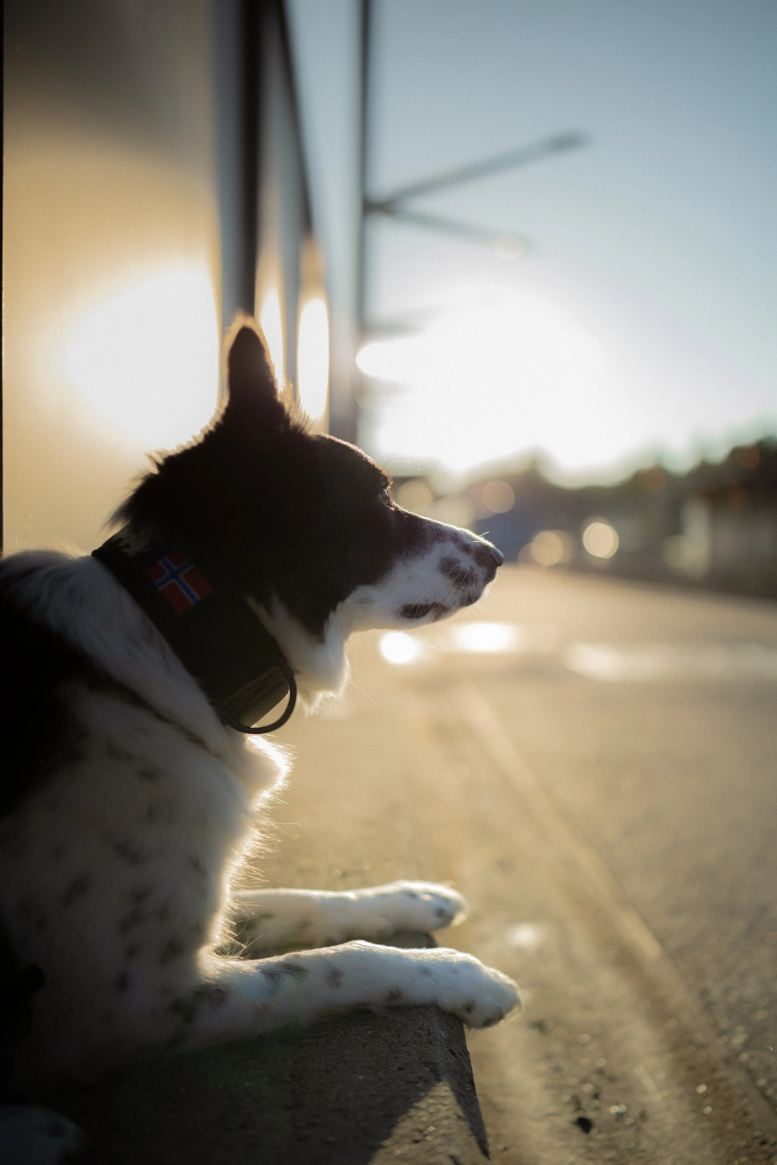 0S7A5562-2.jpg
