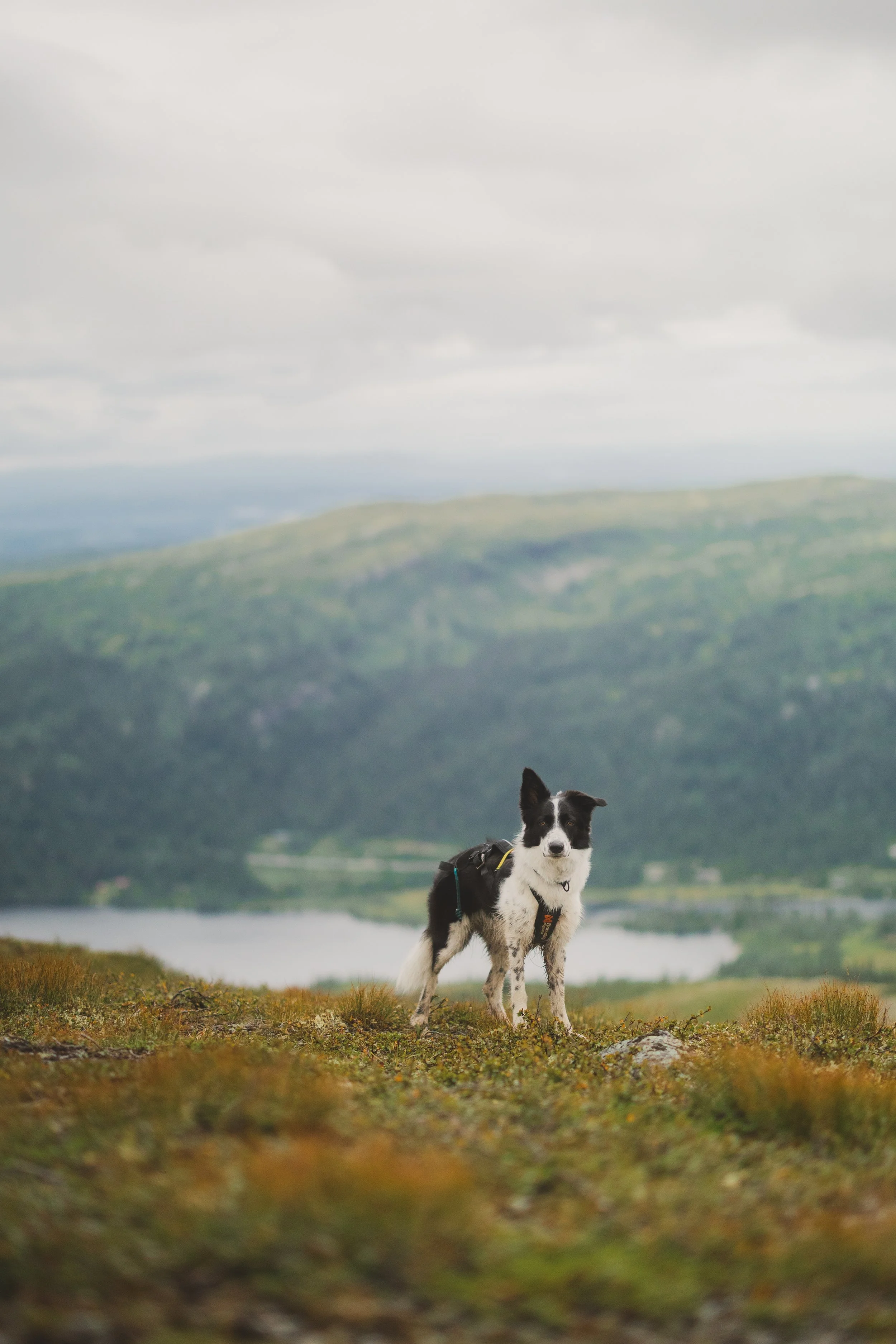 0S7A7323-2.jpg