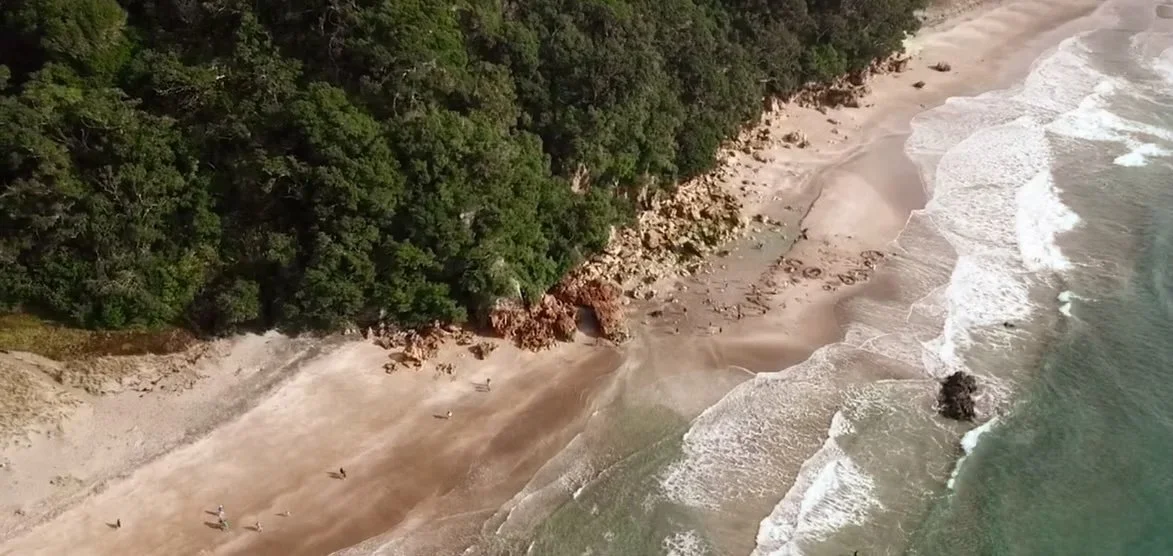 Aerial view of Hot Water Beach with waves crashing along the shoreline, adjacent to a lush green forest.