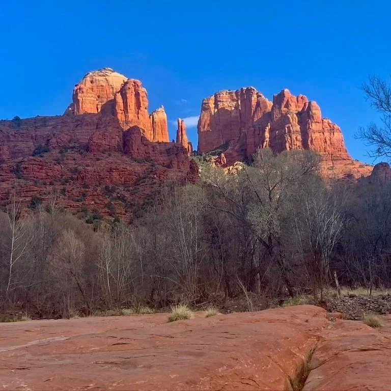 Red rock formations in a desert landscape with sparse trees and a blue sky.