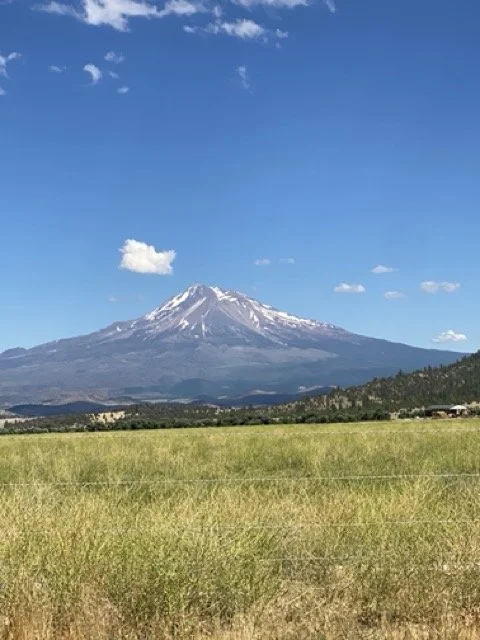 Snow-capped mountain under a blue sky with scattered clouds, green field in foreground.
