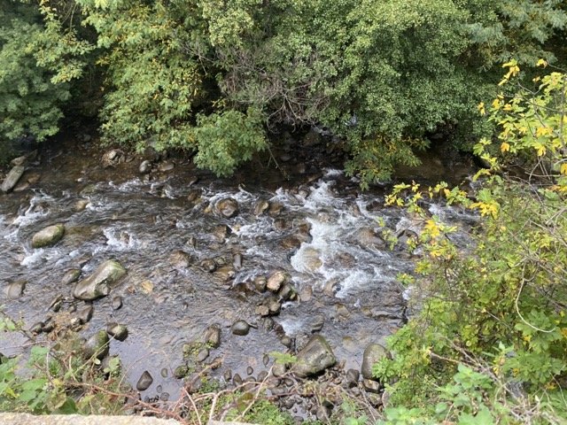 A small river or stream flowing through a forested area with rocks along the banks and lush green trees overhead.