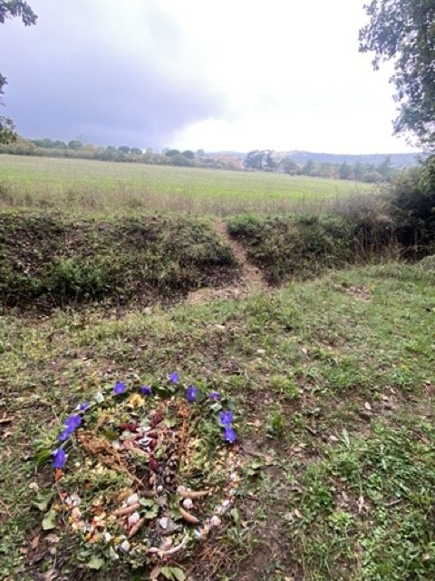 An outdoor scene with a grassy field, trees, and a cloudy sky. In the foreground, there is a circular arrangement of flowers and natural objects on the ground.