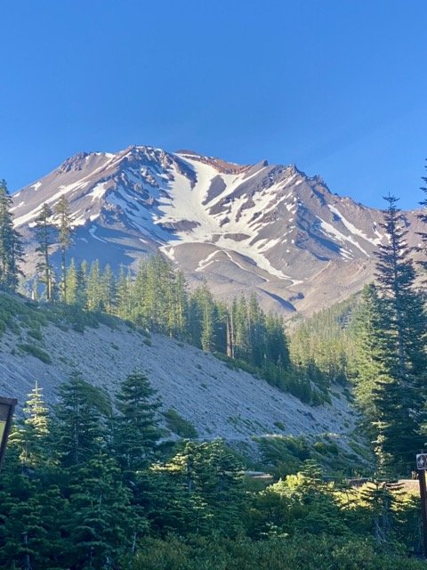 Snow-capped mountain with green trees and clear blue sky.
