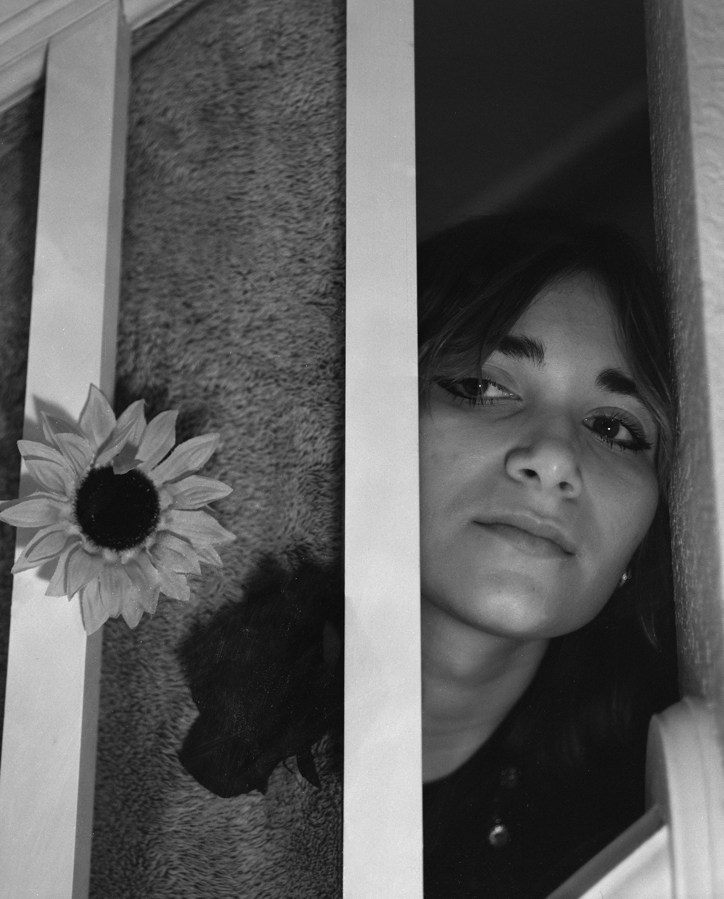 seeing the beauty.png