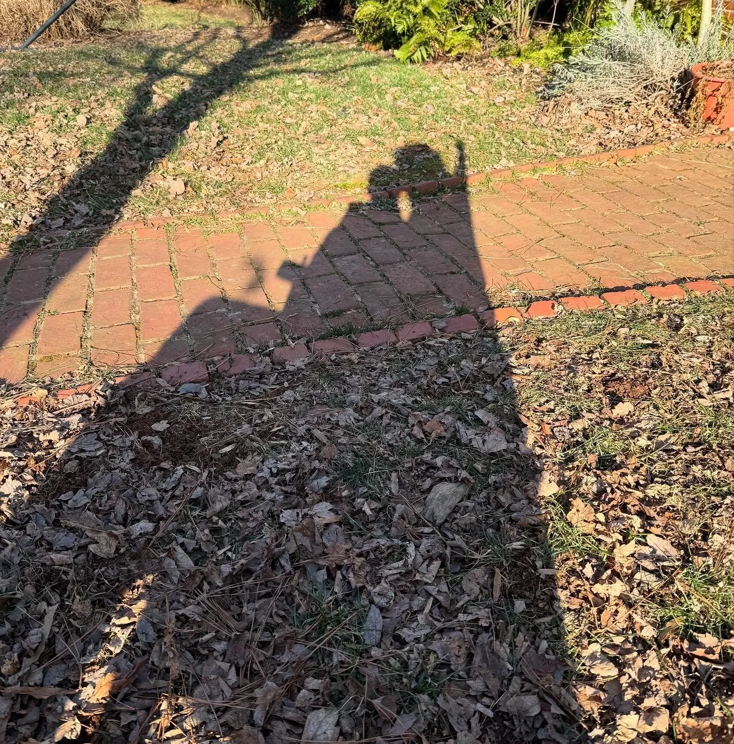 Where have I been? Who am I now that? 

Questions I&rsquo;ve been asking myself lately as I walk through my own matrescence a third time. 

My heart has expanded, once again. Isn&rsquo;t it amazing how hearts can do that?

I&rsquo;ve been falling in 