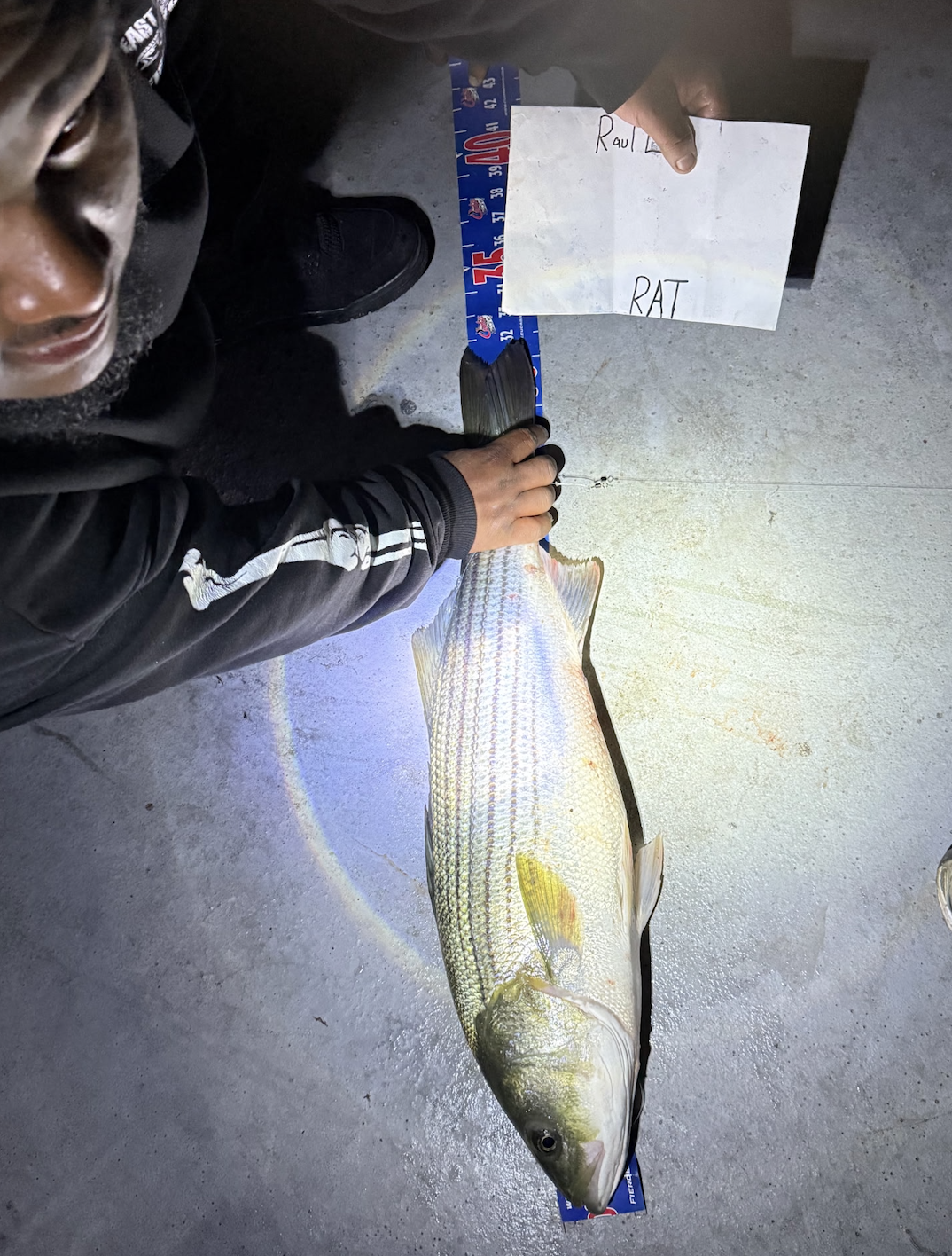 Screenshot 2025-10-16 at 5.19.12 PM.png