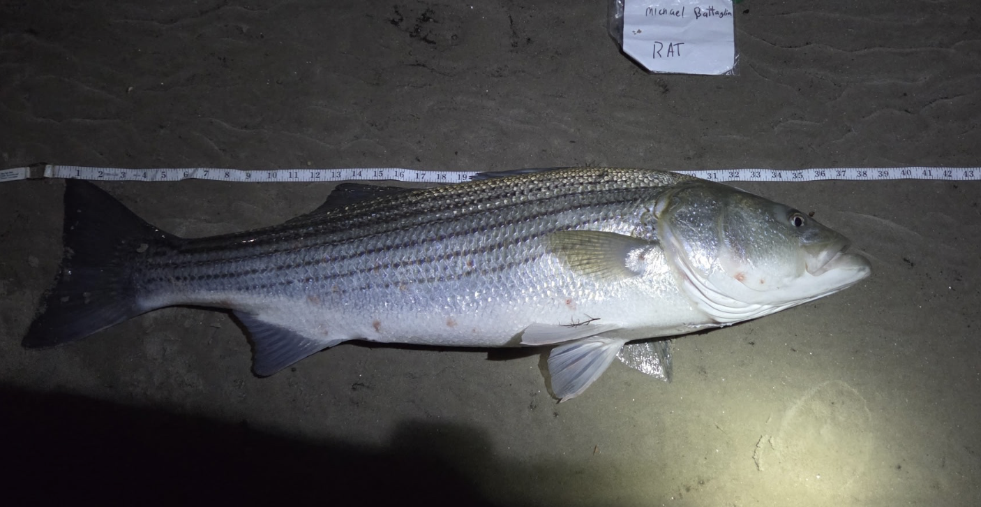 Screenshot 2025-11-16 at 8.49.00 PM.png