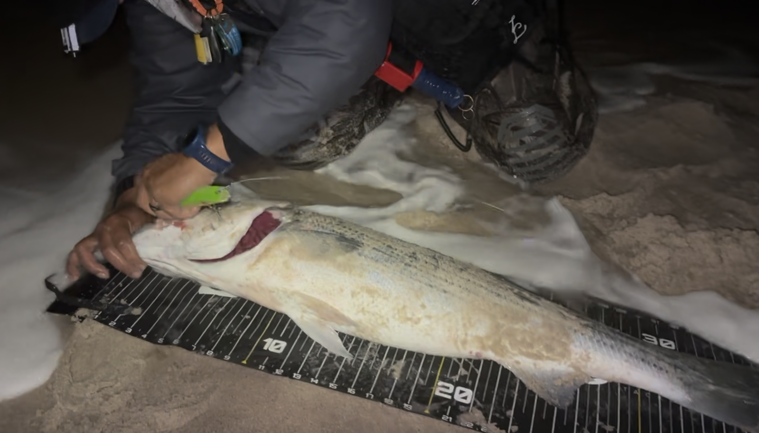 Screenshot 2025-11-08 at 11.17.35 PM.png