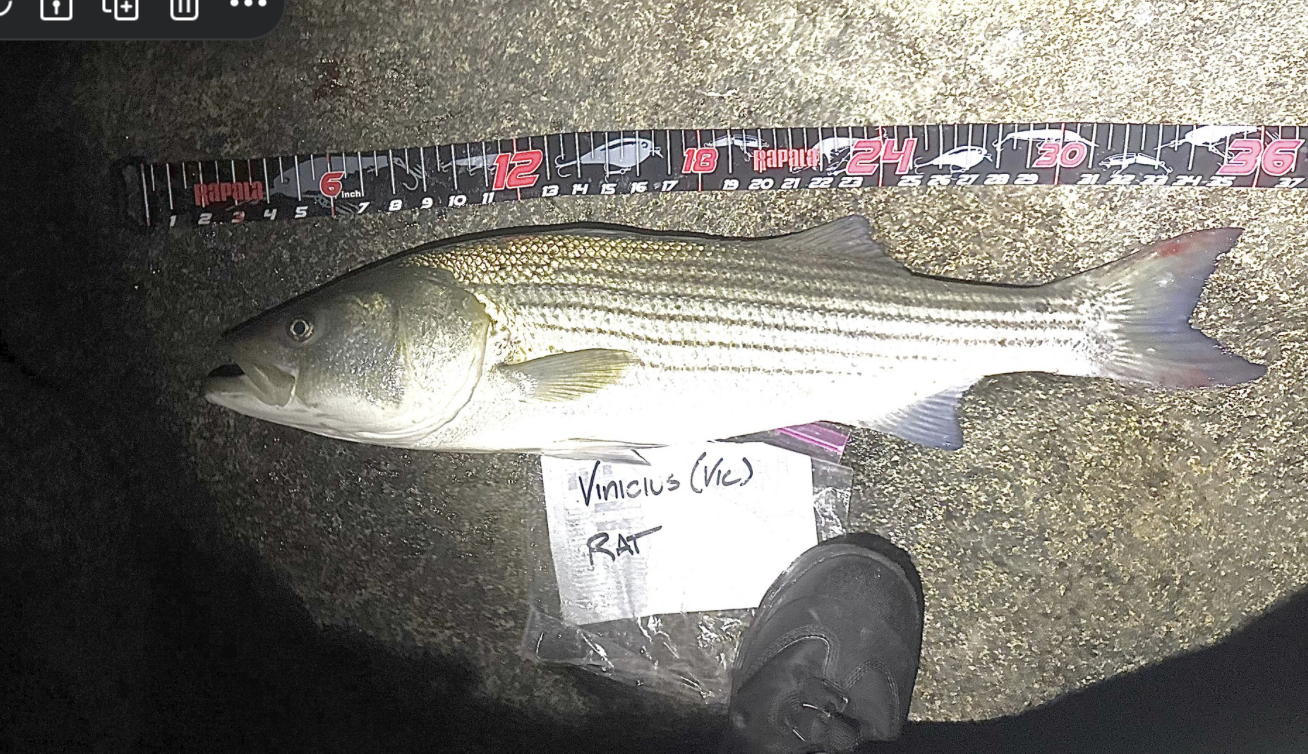 Screenshot 2025-11-16 at 8.49.40 PM.png