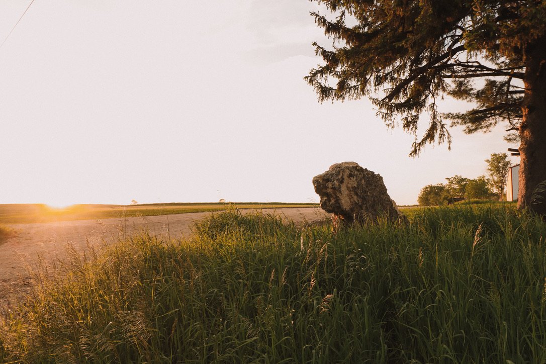 A rural landscape at sunset with tall grass, a large rock, a tree, and a distant building.