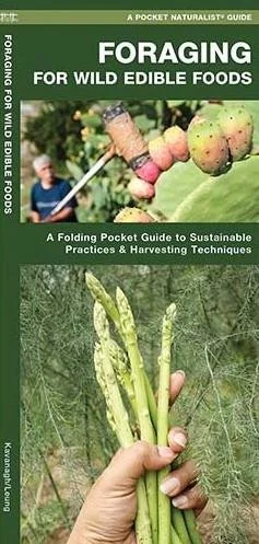 Foraging: Foraging guide book cover featured in The Terminal List intro garage