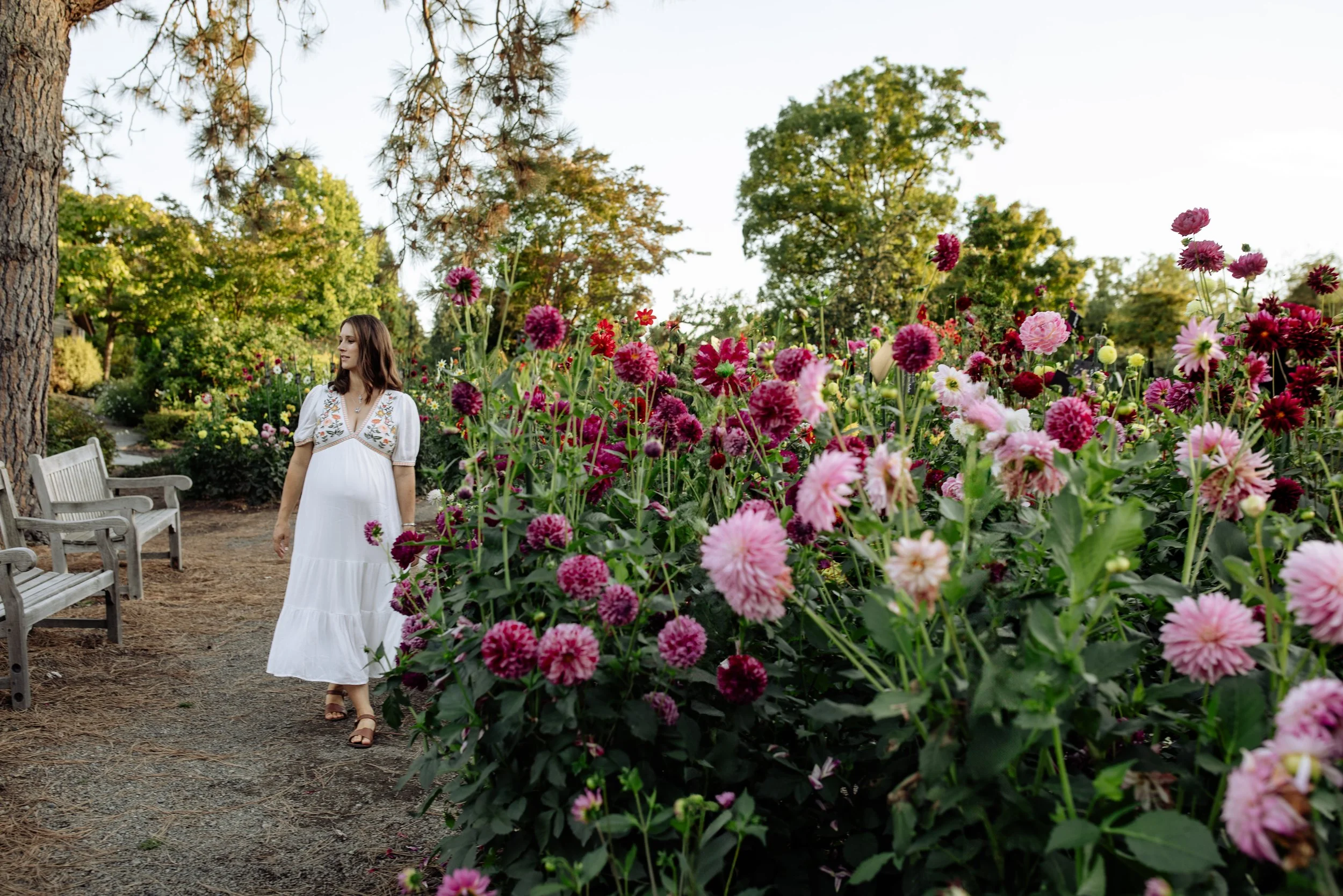 A woman in a white dress walking on a dirt path beside a large bush of pink and purple flowers in a garden, with trees and benches visible in the background.