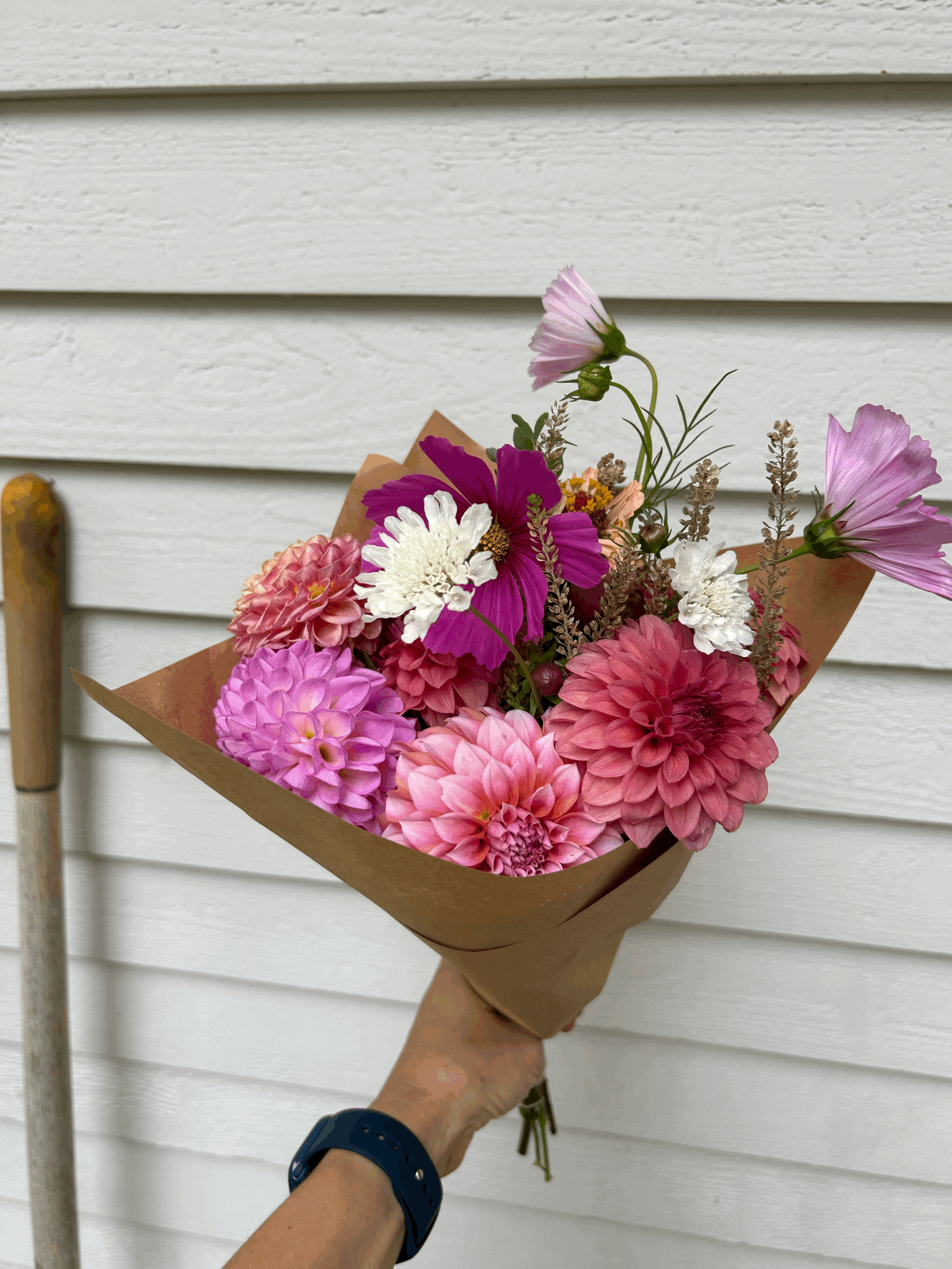 Summer CSA Subscription