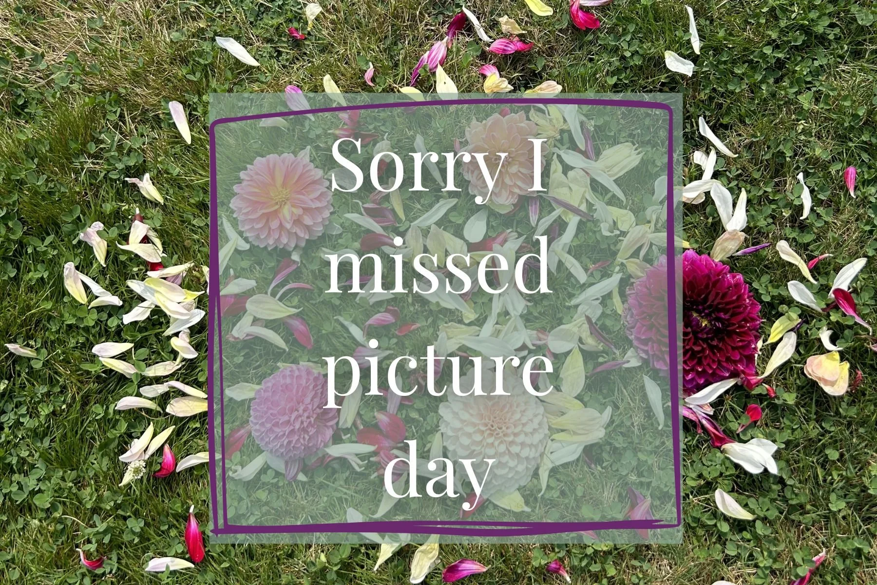 Sorry I missed picture day.jpg