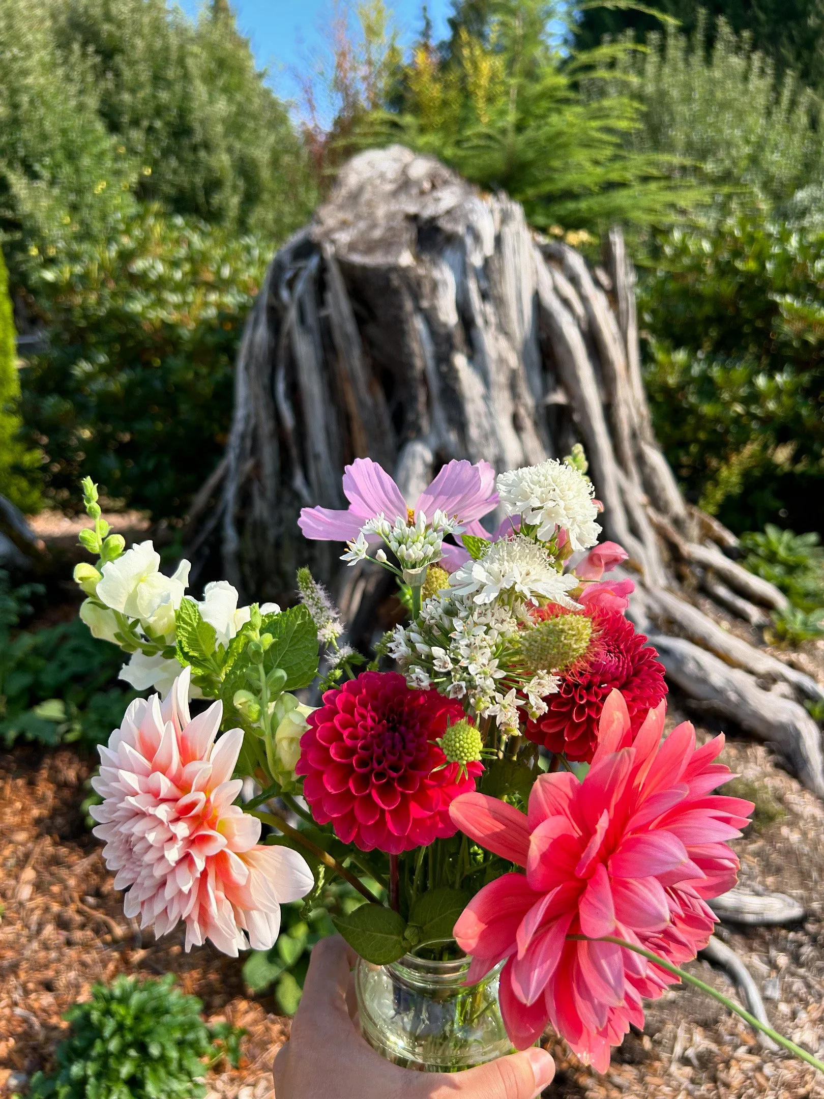 Back-To-School Bouquet