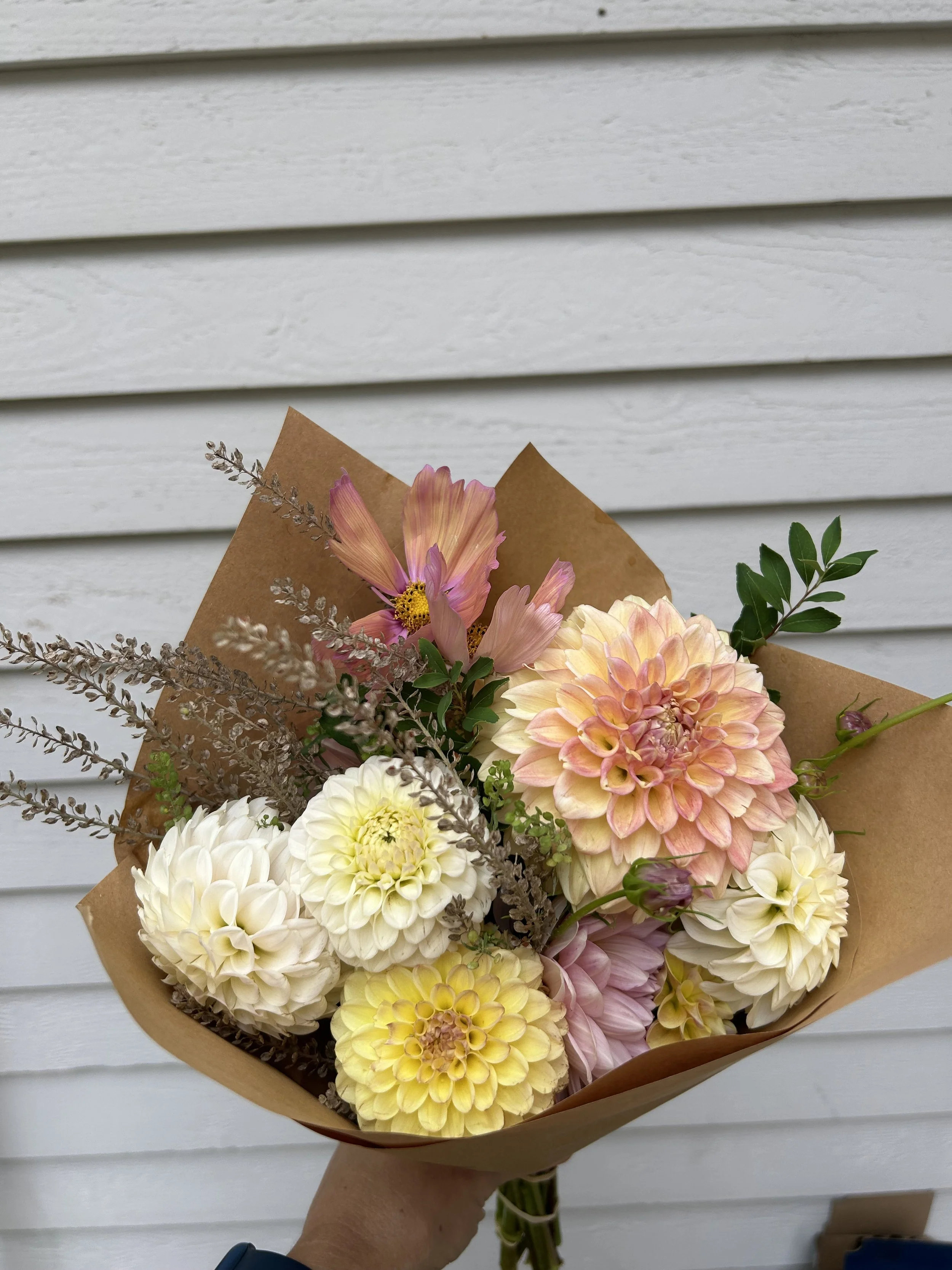Bouquet of pastel-colored dahlias, pink cosmos, and greenery wrapped in brown paper, held against white wooden background.