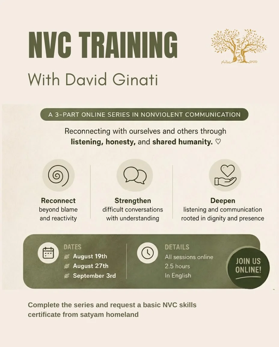 NVC Training with David Ginati (August 19)