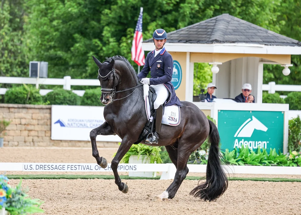 Kingsley Riding USA | Explore Durable Equestrian Gear Today