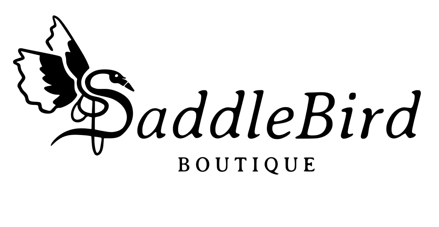 The logo of a university featuring a pink winged bird with a wheelchair and the university's name underneath.