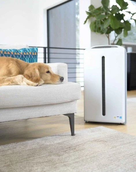 Atmosphere Sky - In Home .jpg