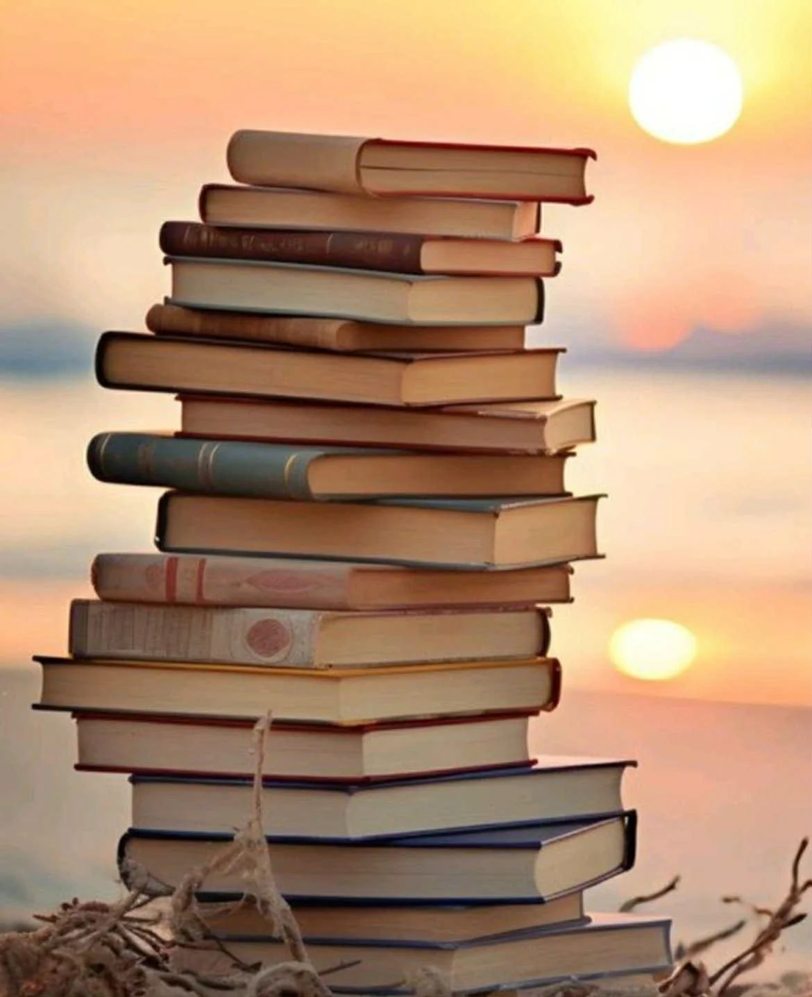 e6f40796-267f-4a4d-969f-d5f90457793c.jfif