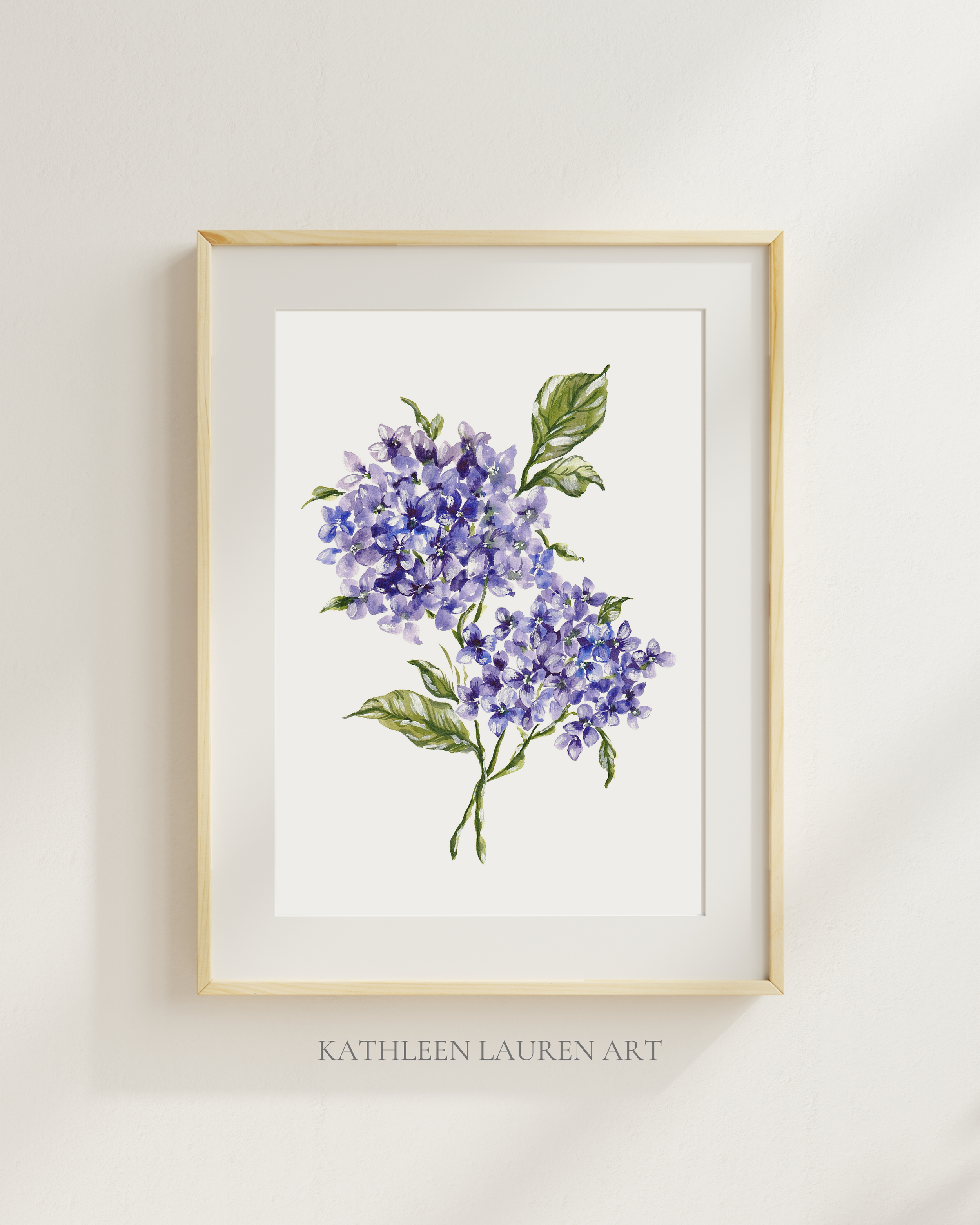 Blue Hydrangeas