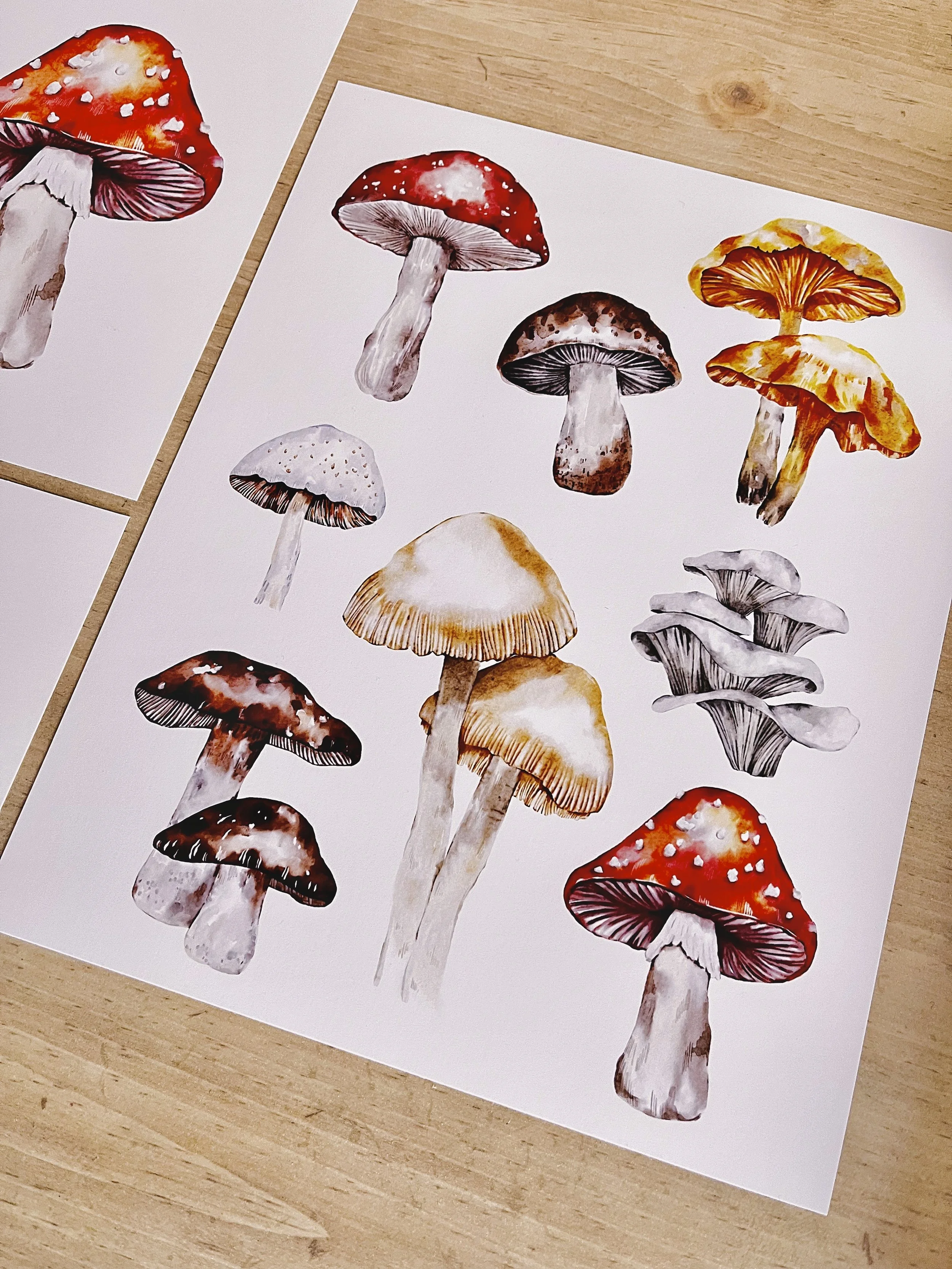 Watercolour mushroom collage fine art print