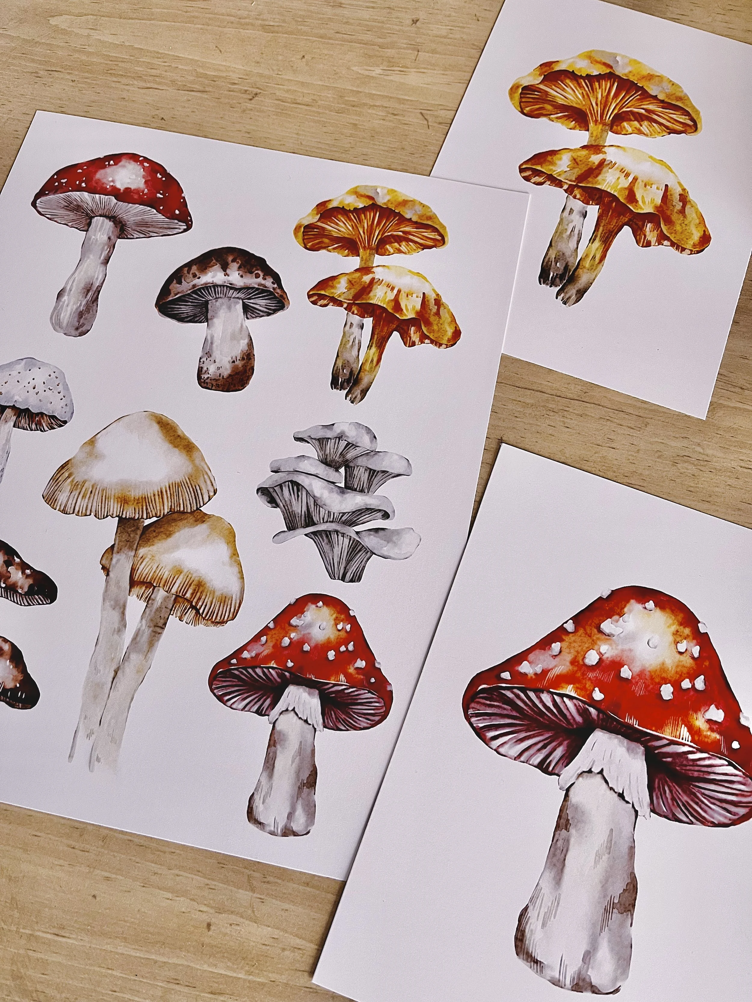 Watercolour mushroom collage fine art print
