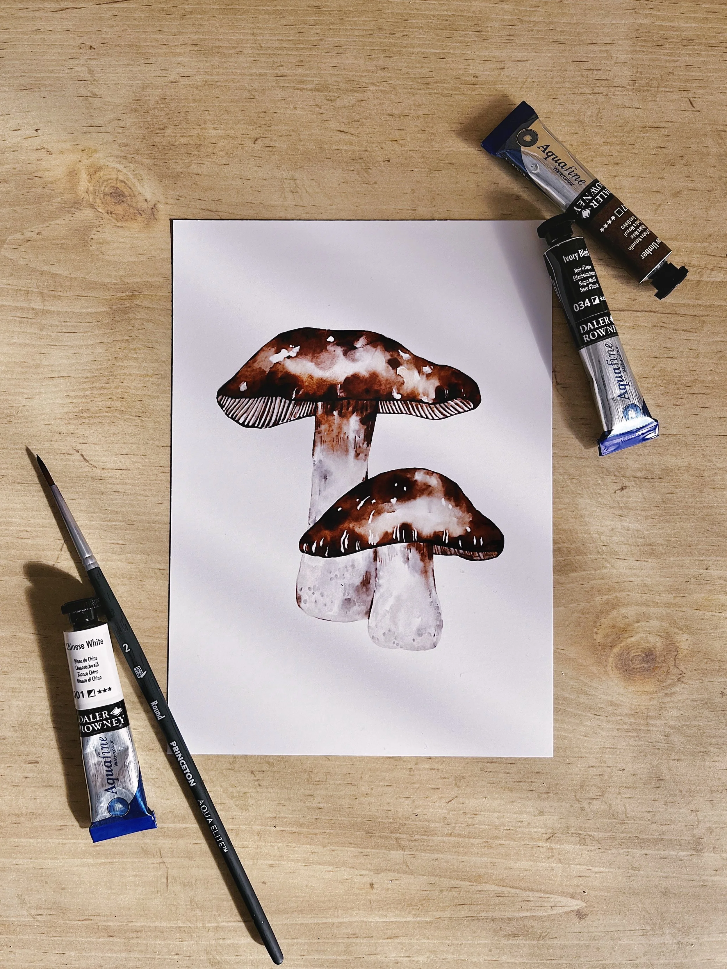 Watercolor Porcini Mushroom art print