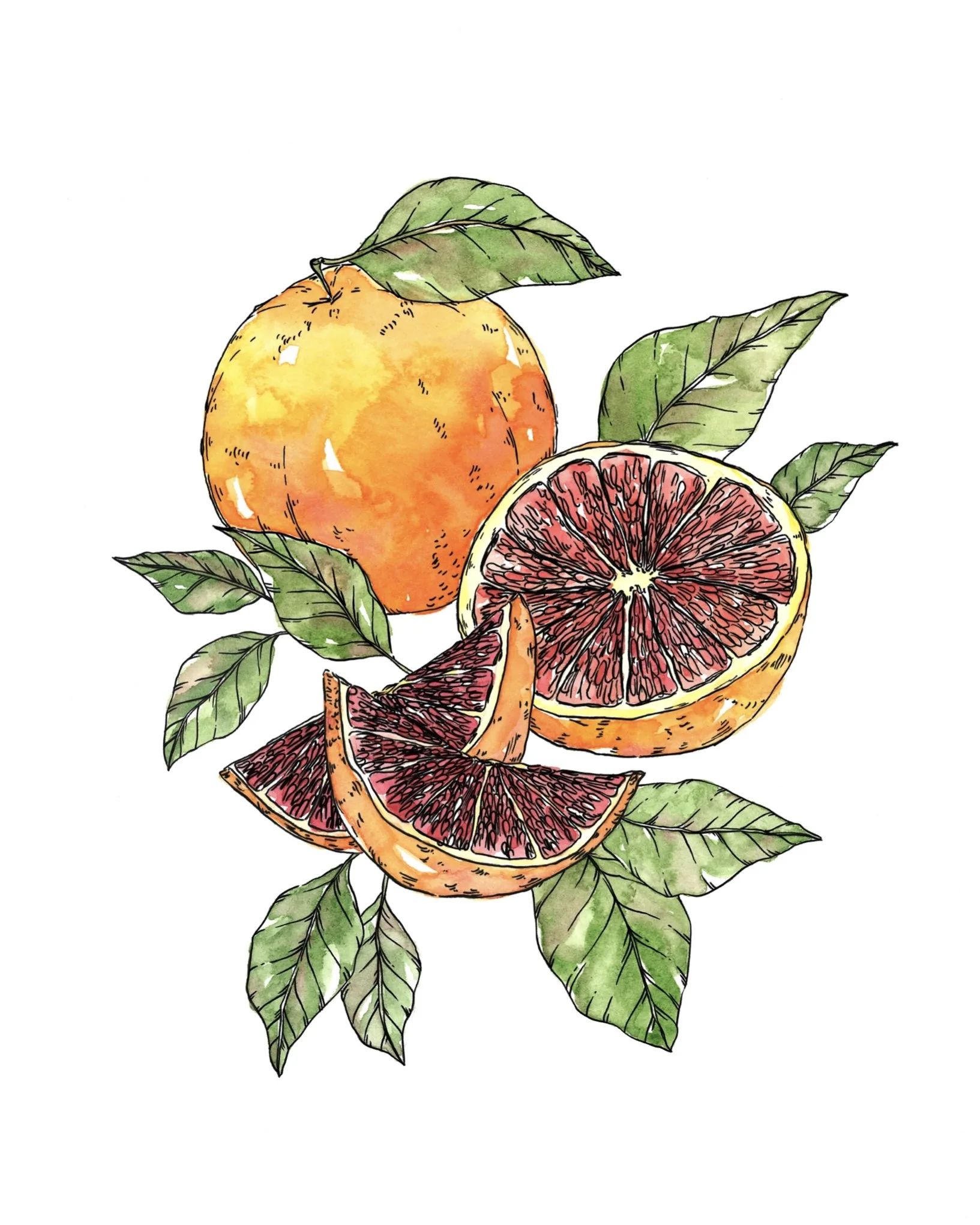 IMG_2654.jpeg (Copy)