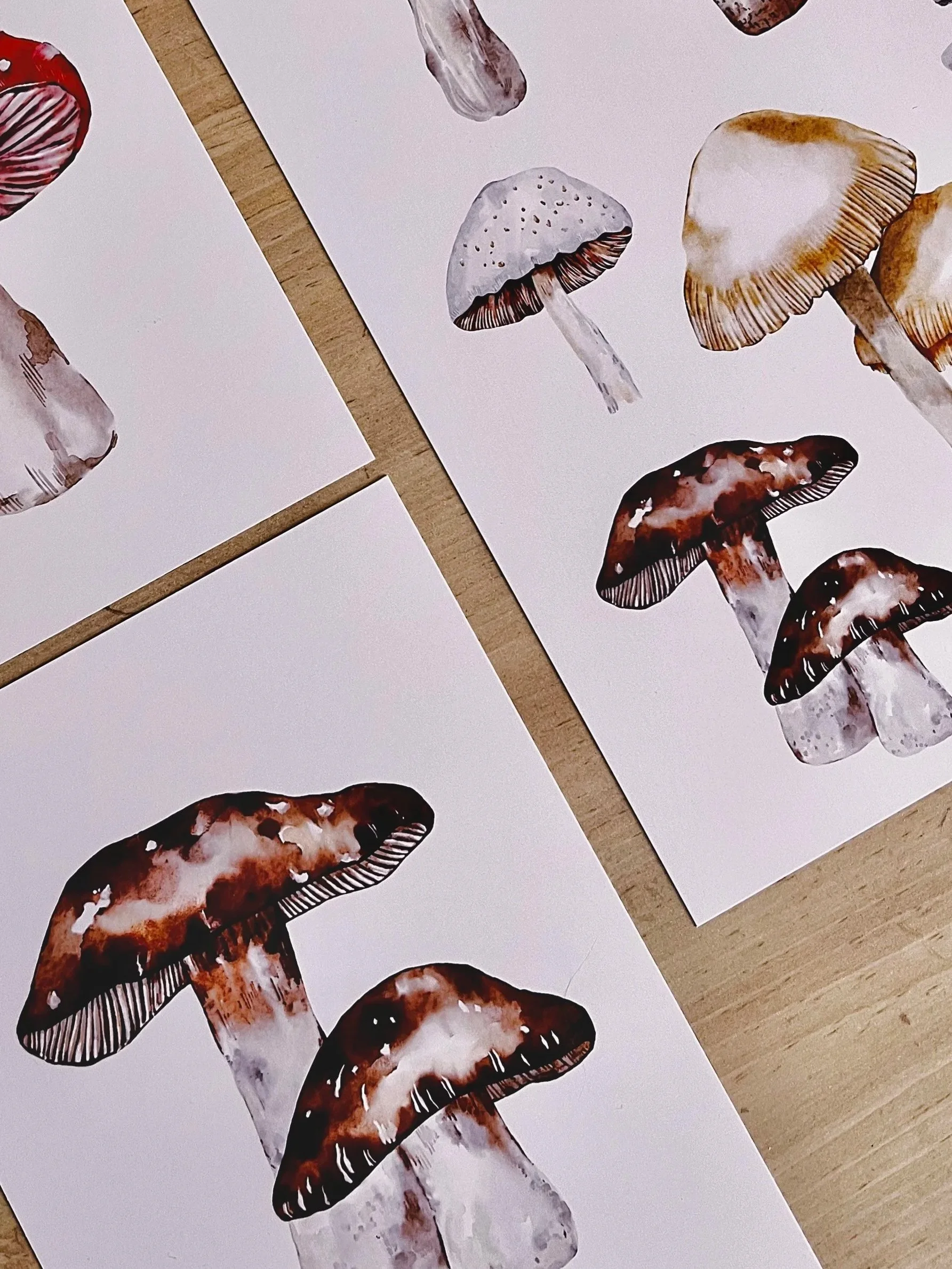 Watercolor Porcini Mushroom art print