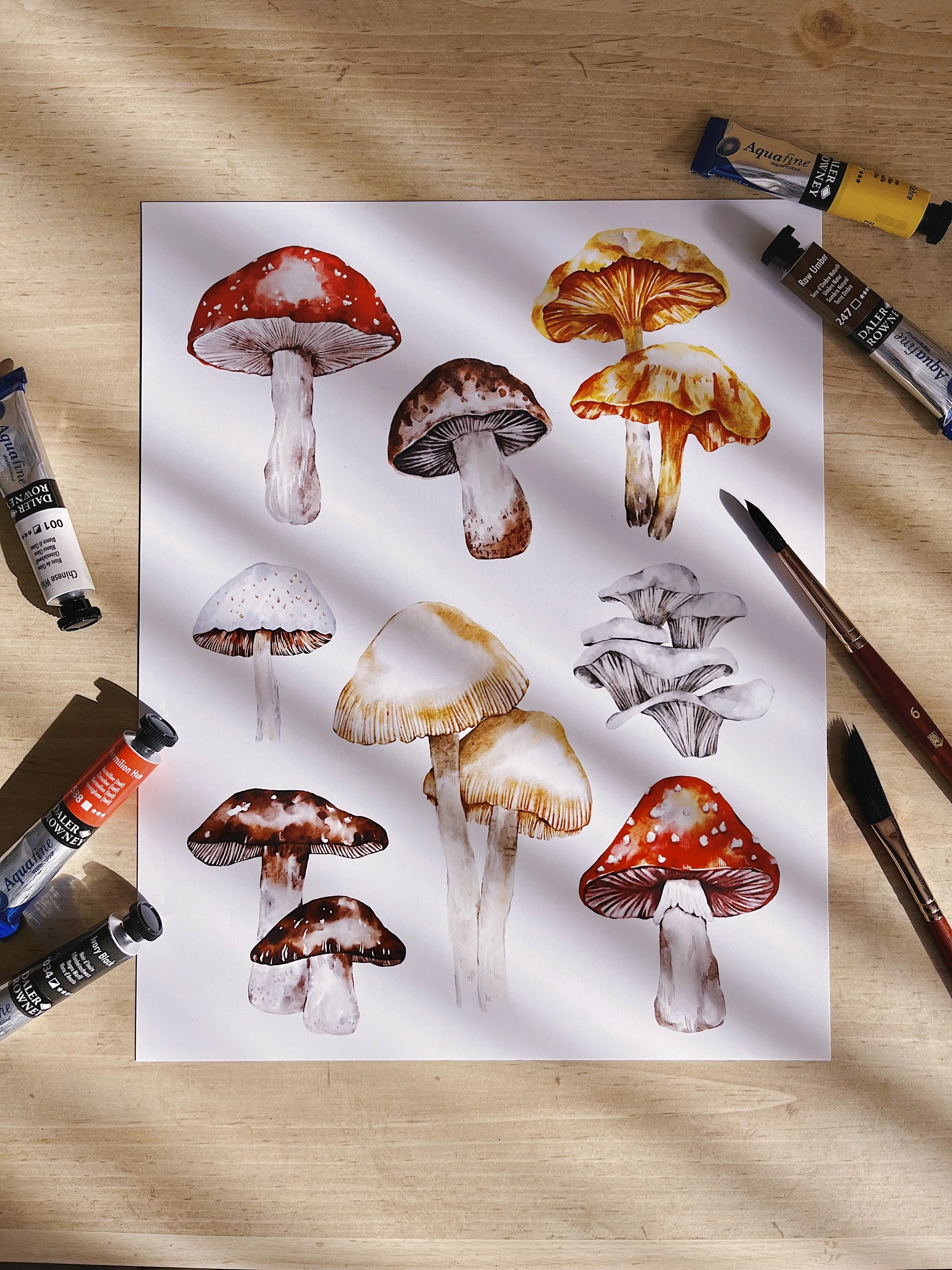 Watercolour mushroom collage fine art print