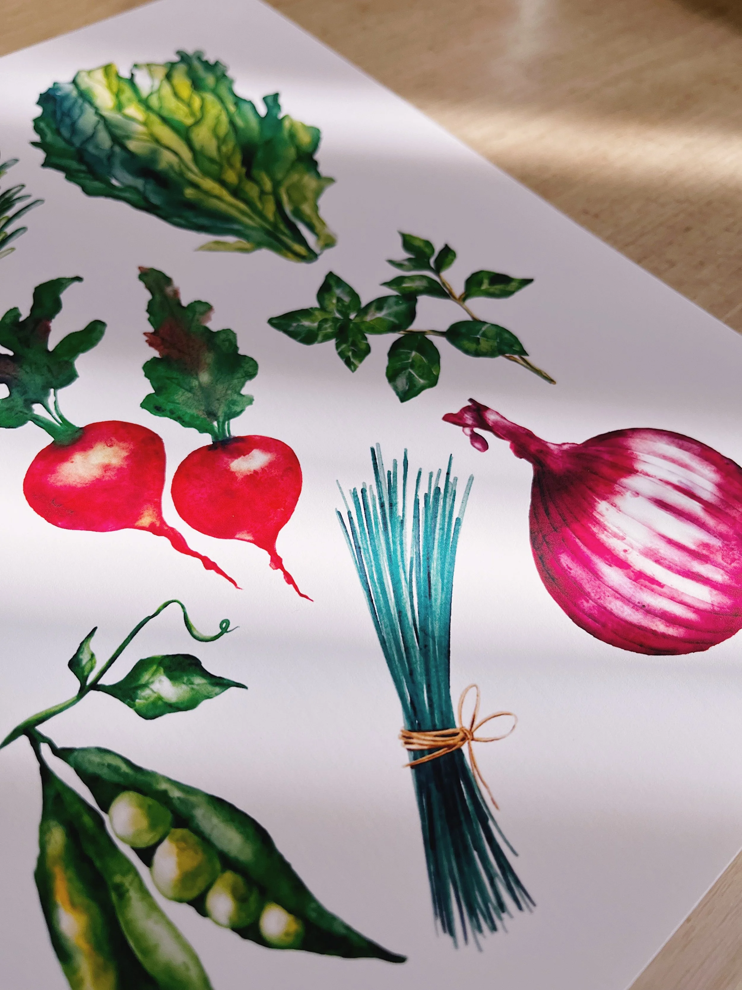 Watercolour spring vegetables art print