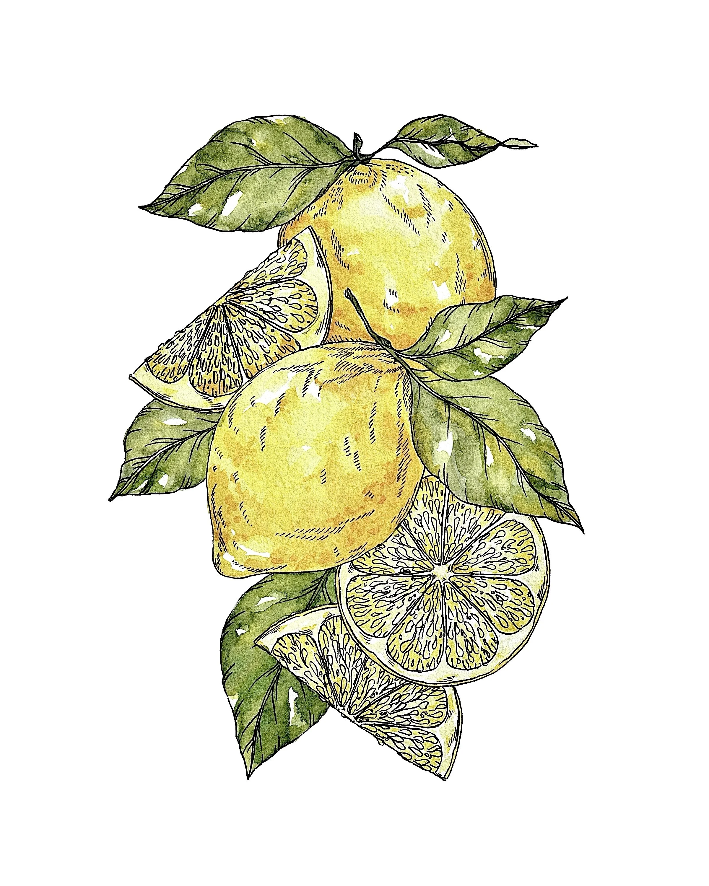 IMG_2024.jpeg (Copy)