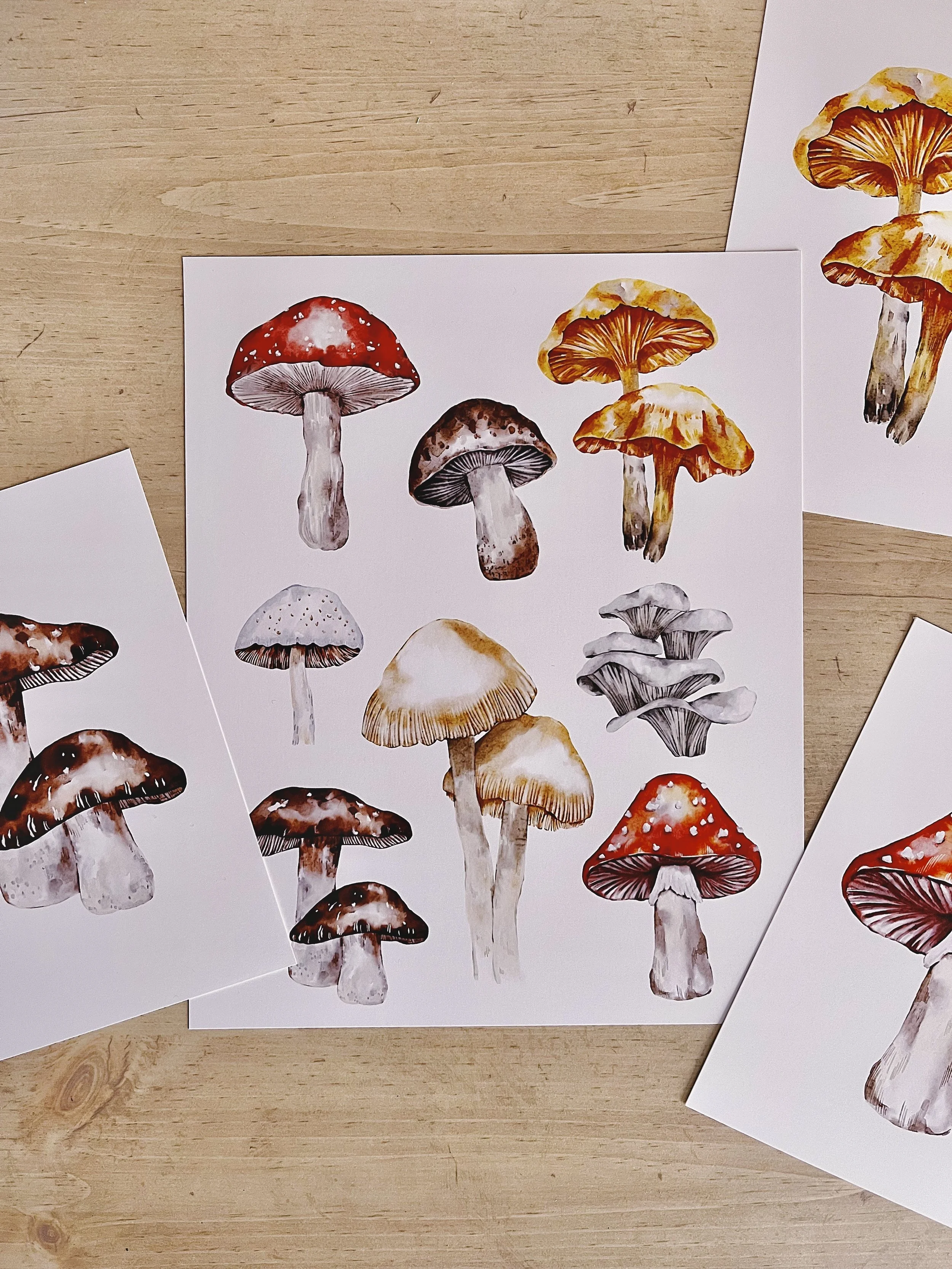 Watercolour mushroom collage fine art print