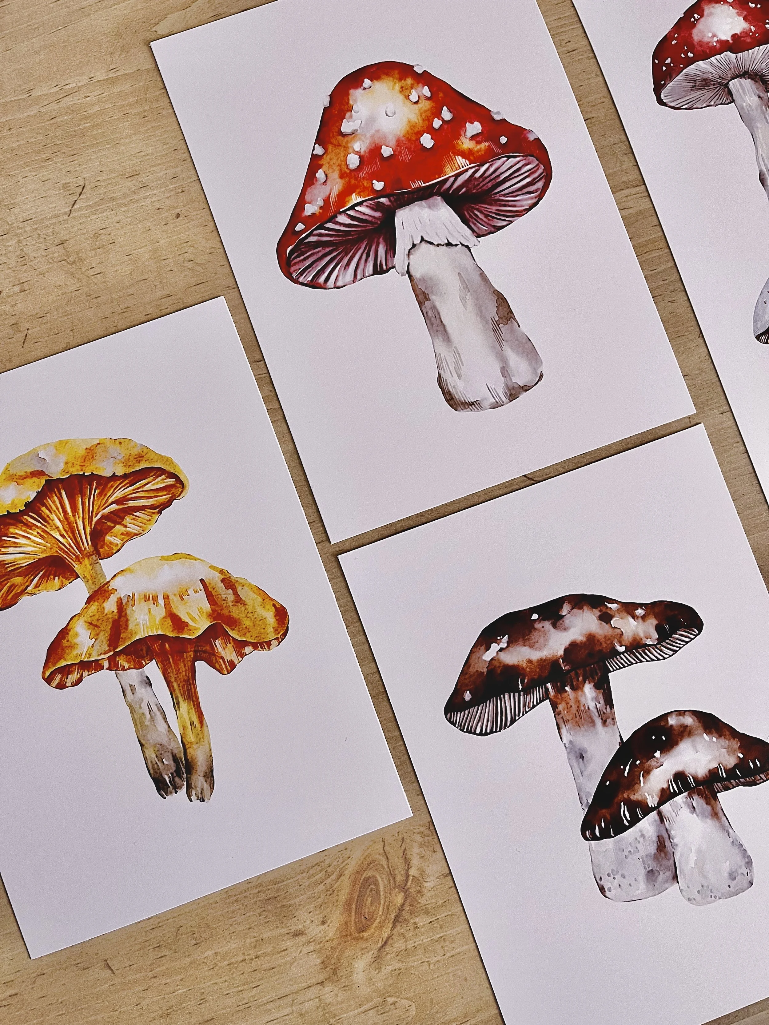 Watercolor Porcini Mushroom art print