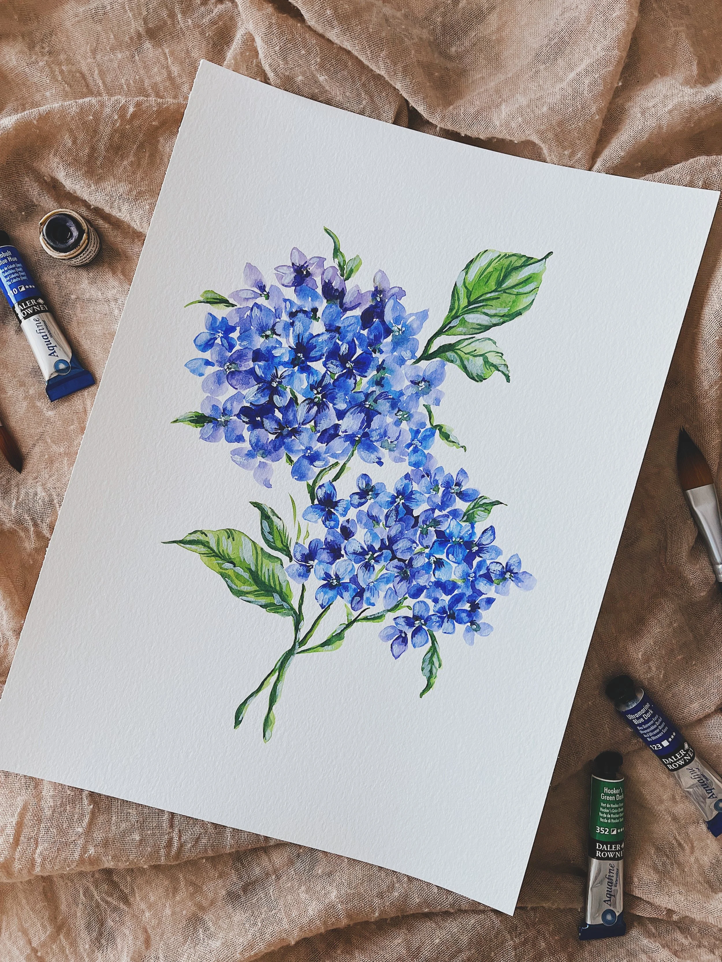 Blue hydrangeas art print