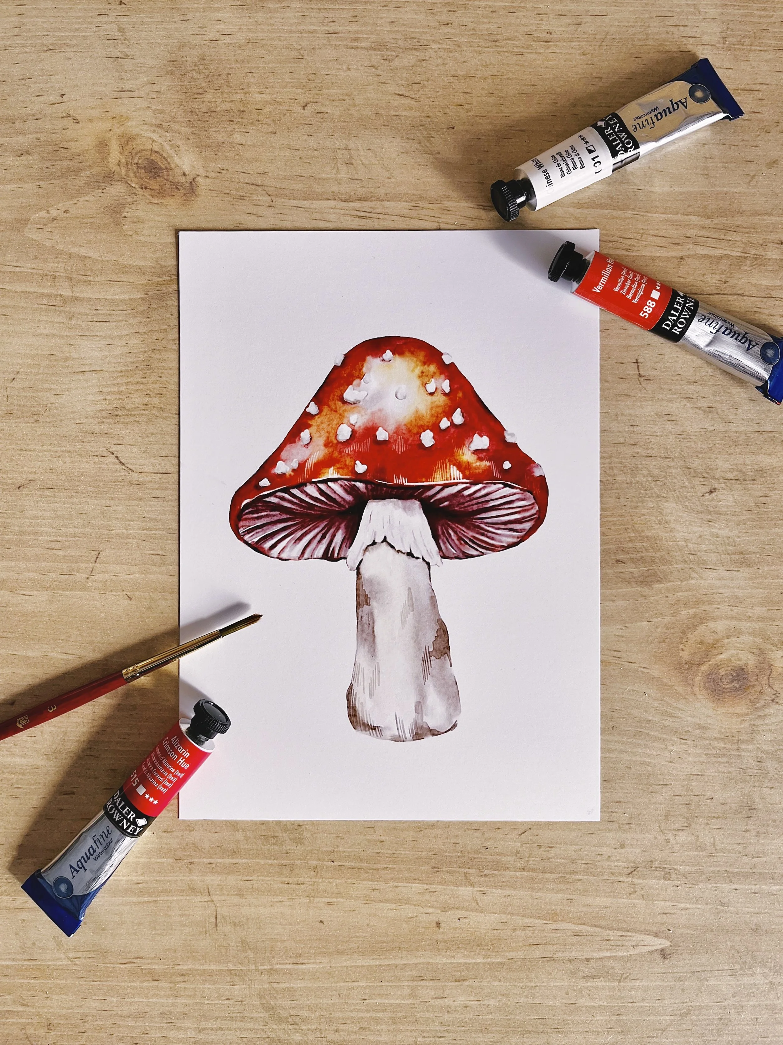 Watercolour red Amanita mushroom art print