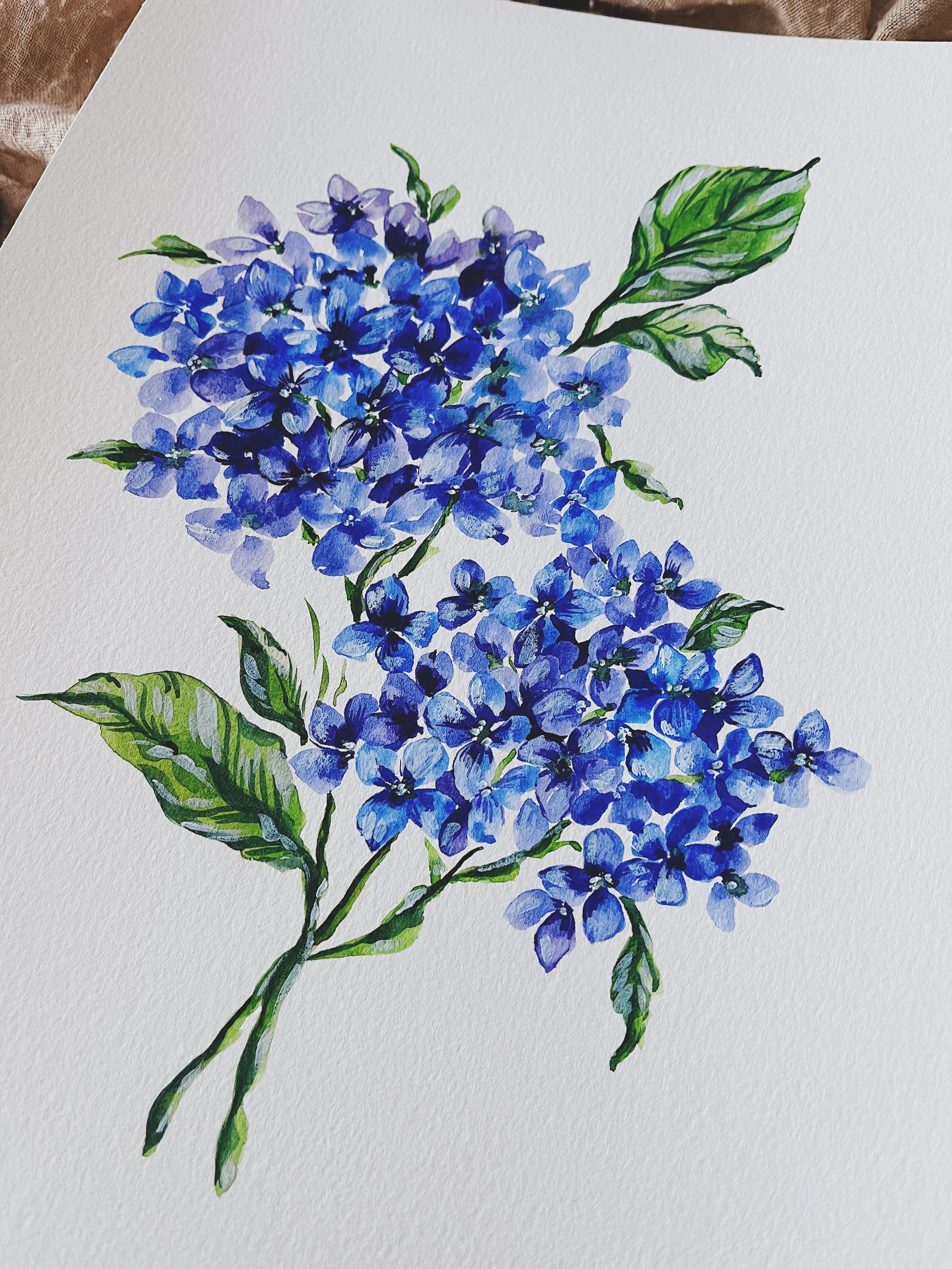 Blue hydrangeas art print