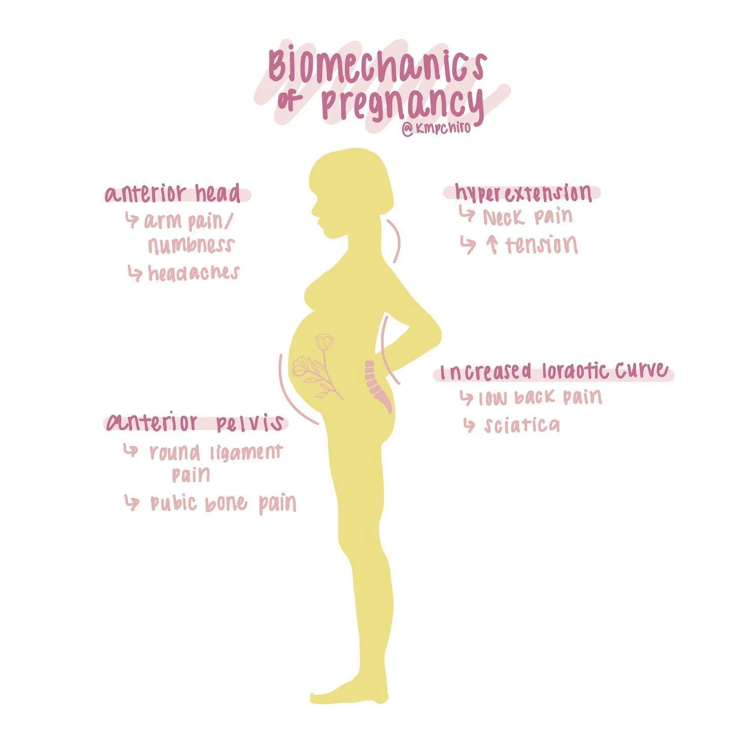 • Biomechanics •
The human body makes significant changes throughout the course of a pregnancy. This is in order to love, nourish and protect the growing baby. 
Here, I have illustrated and noted several structural changes in a pregnant w