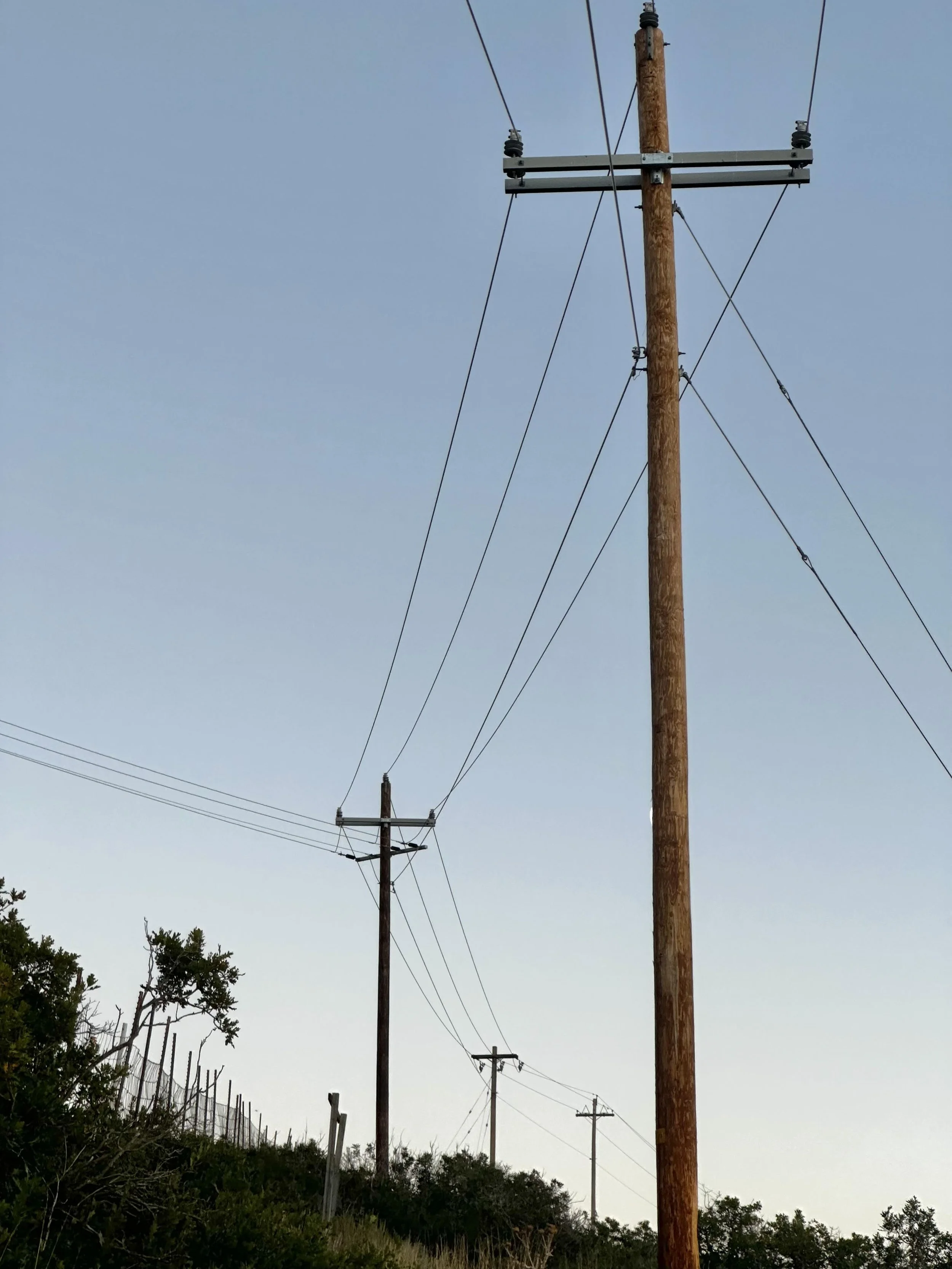 A row of wooden utility poles carrying power lines extending into the distance against a clear blue sky.