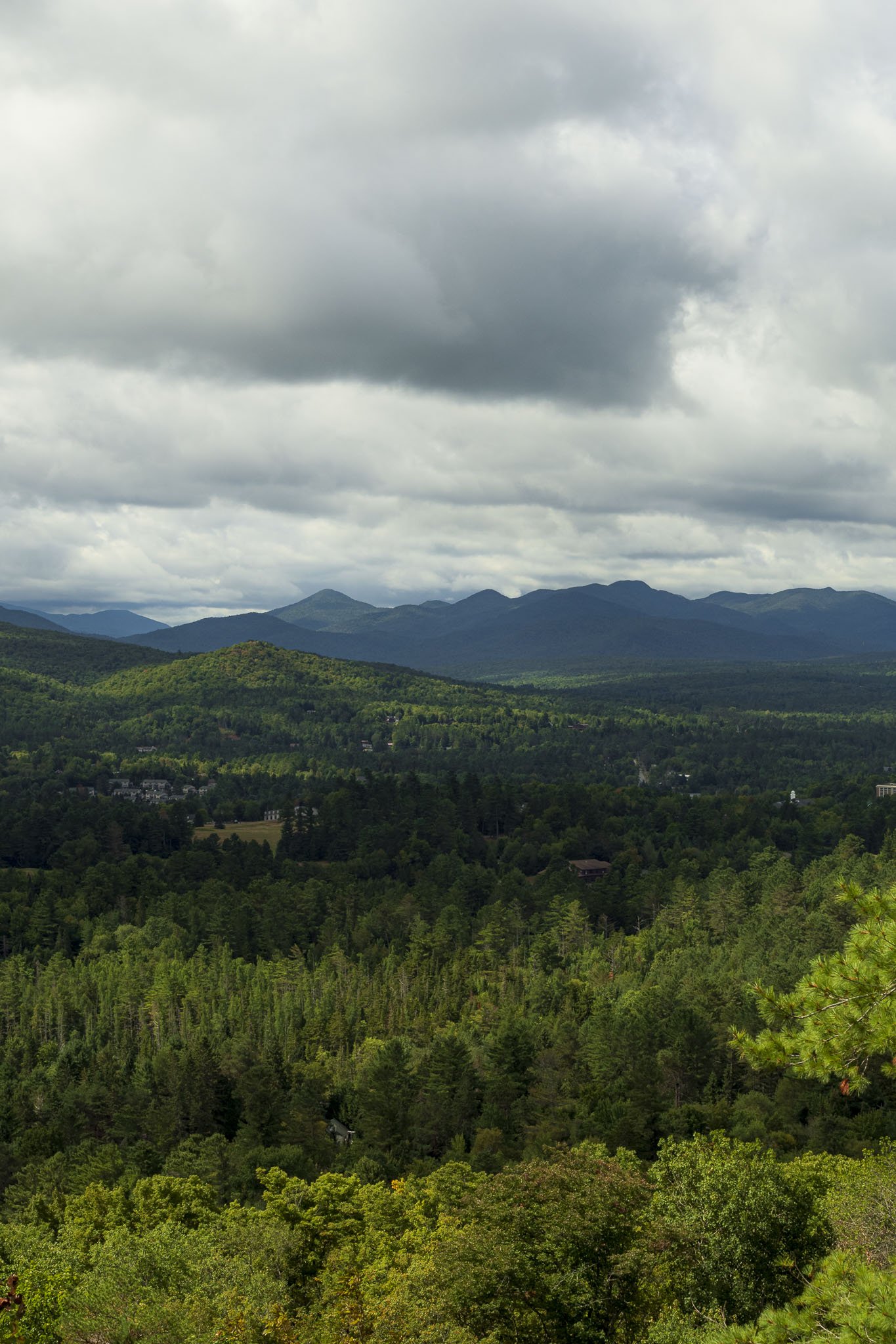 Cobble Hill View.jpg