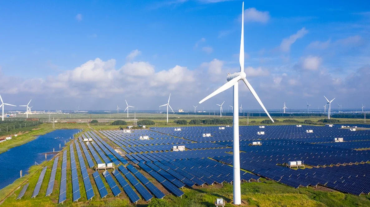 Renewables 3.jpg